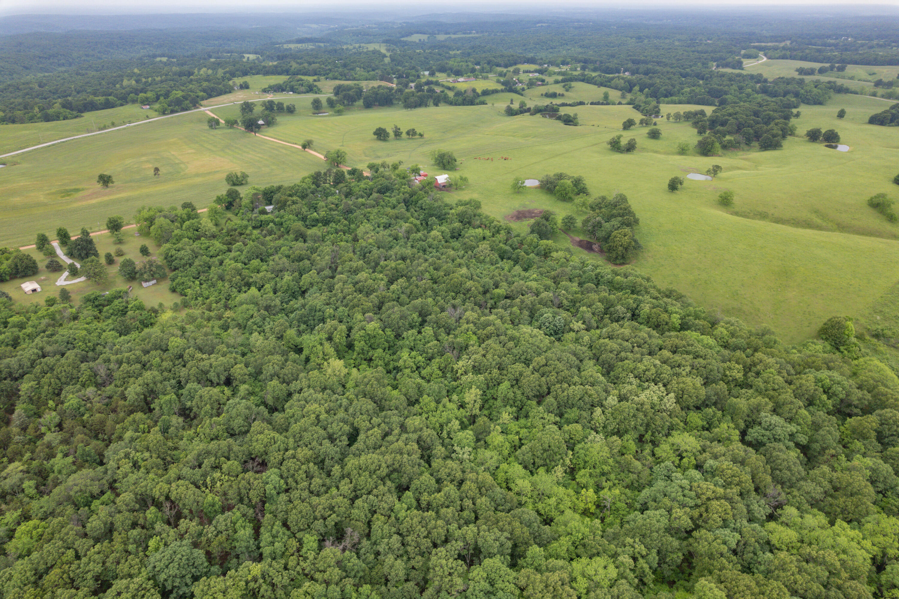 748 Puckett Road Property Photo 44