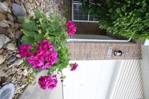 814 Clancy Court Property Photo 3
