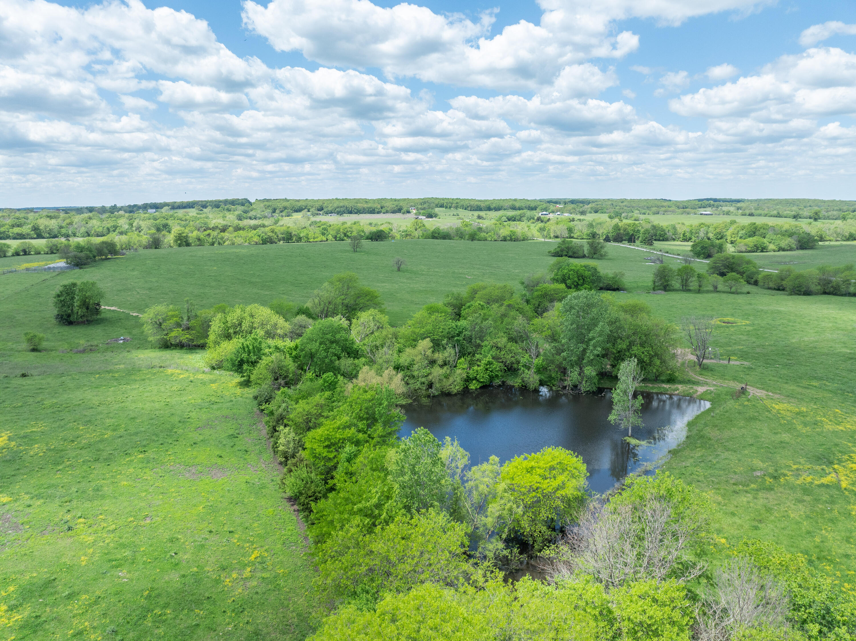 3421 Highway M Property Photo 61