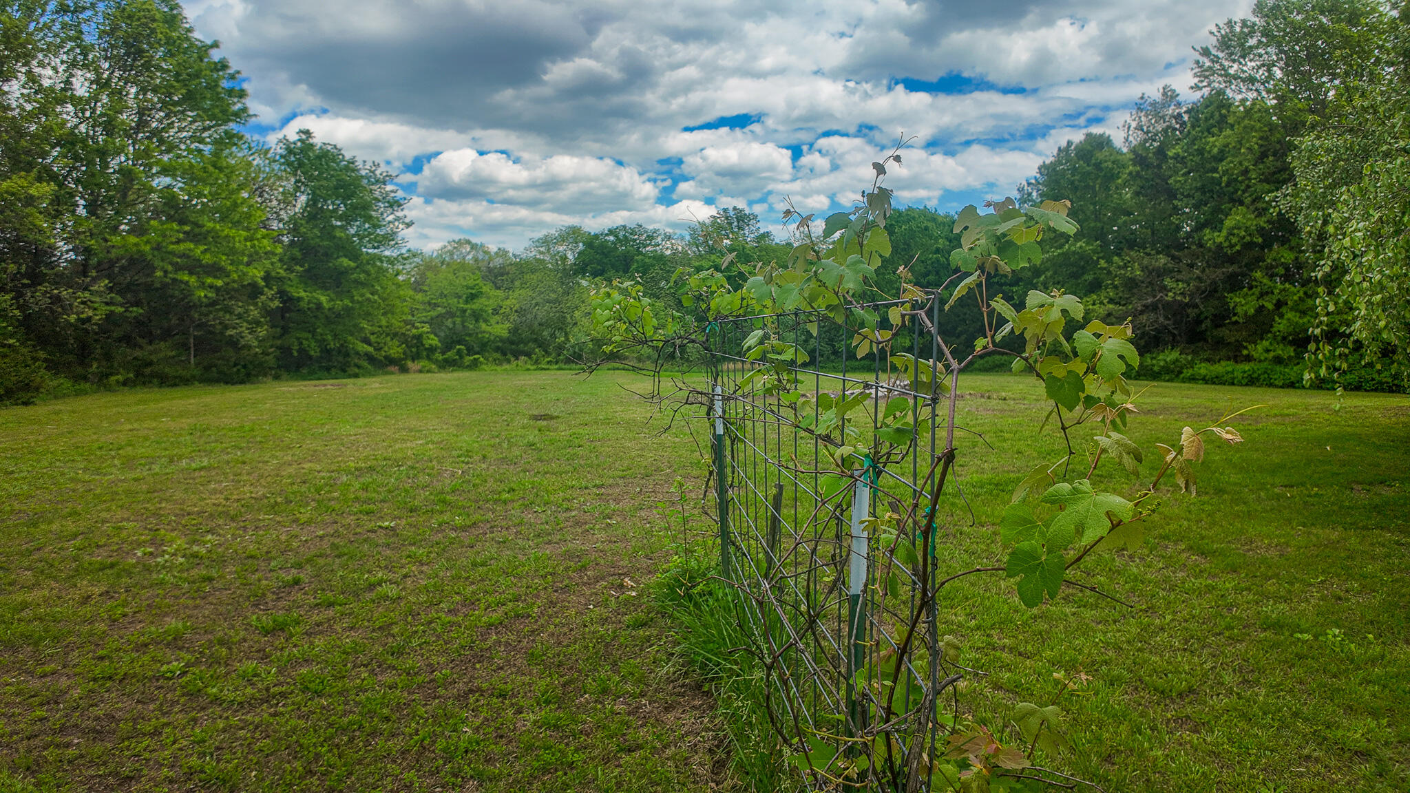 1156 Southeast 180th Road Property Photo 50