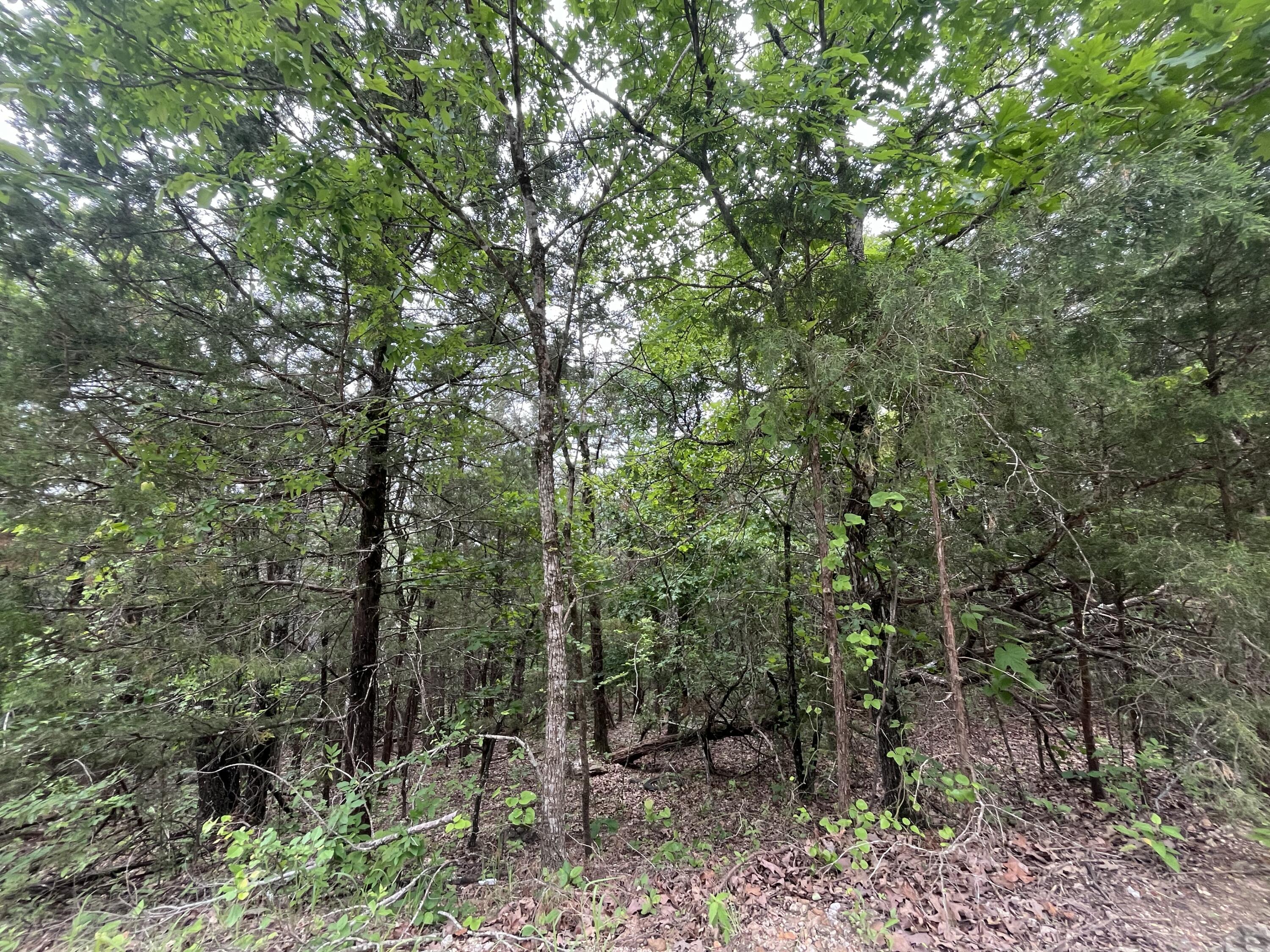 838 Marlin Street Property Photo