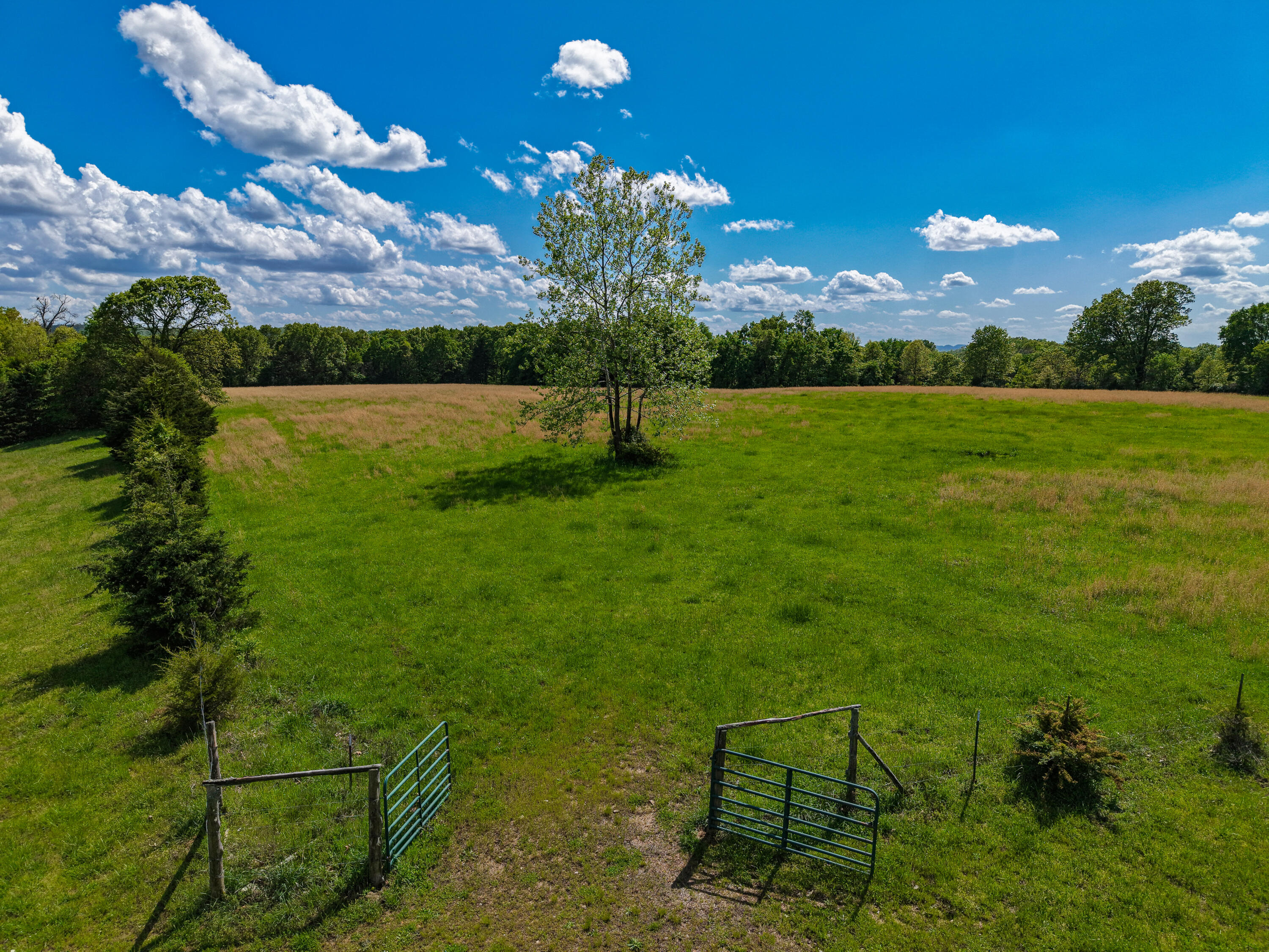 000 State Highway Dd Property Photo 6