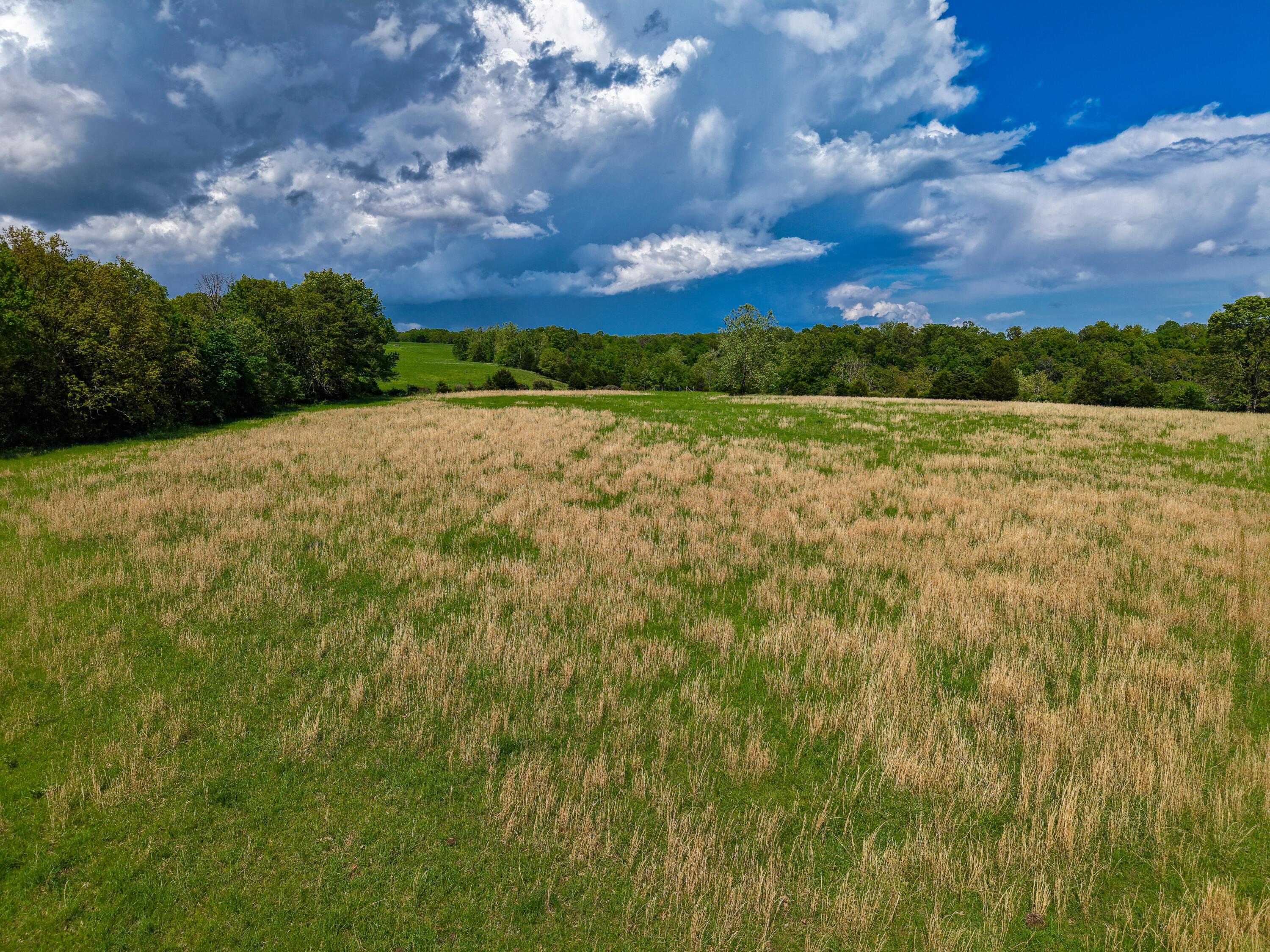 000 State Highway Dd Property Photo 7