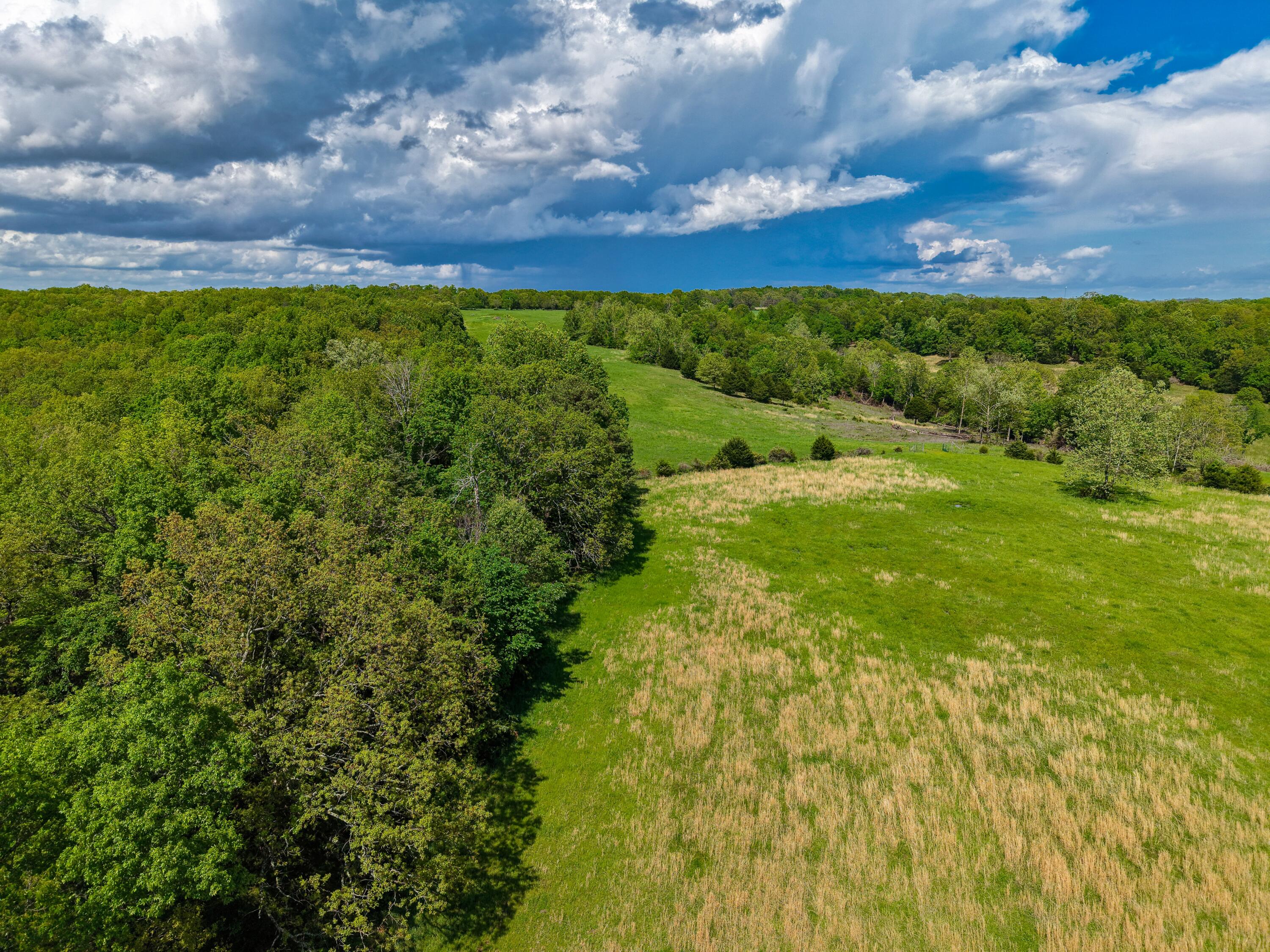 000 State Highway Dd Property Photo 9