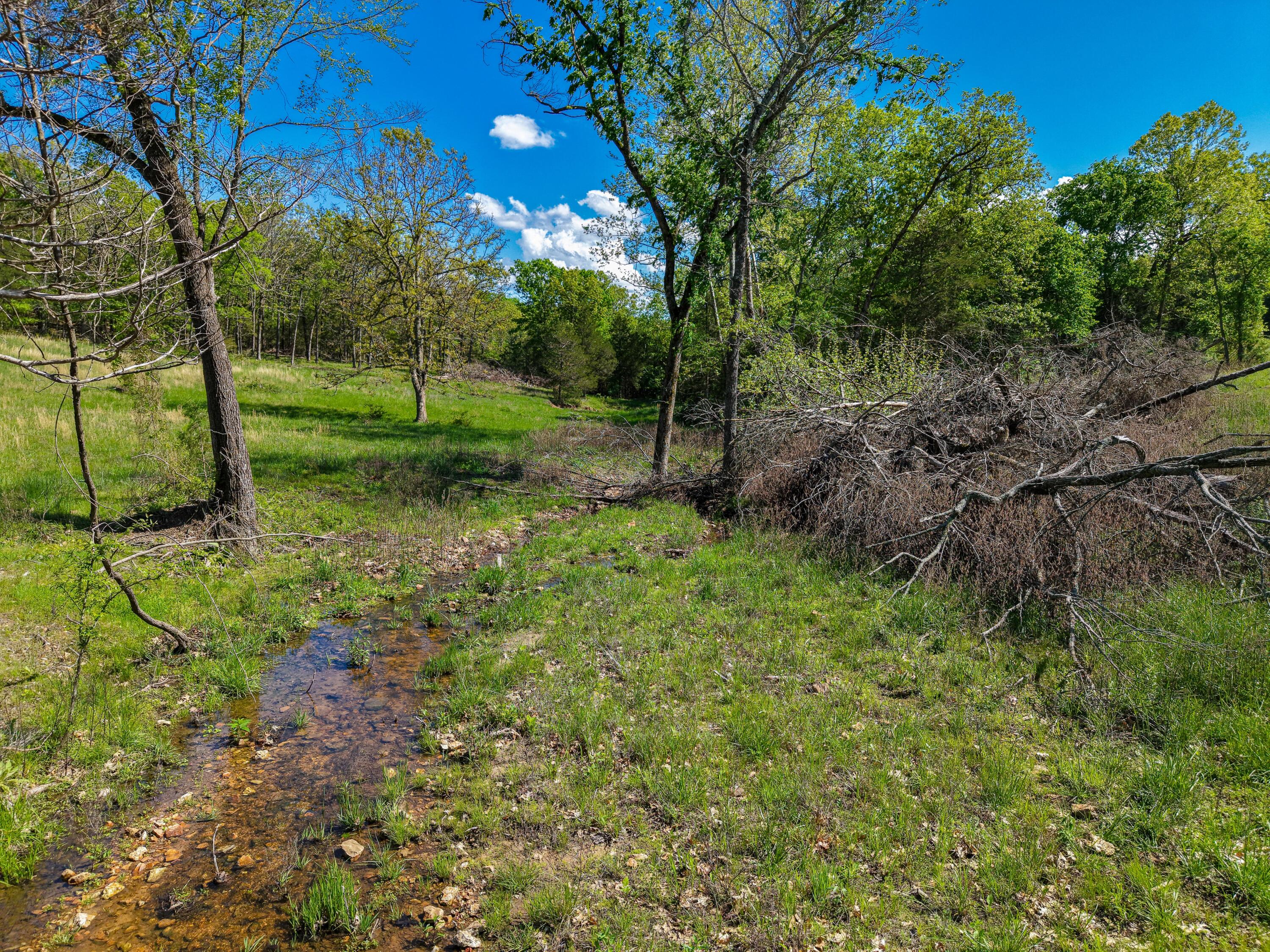000 State Highway Dd Property Photo 11