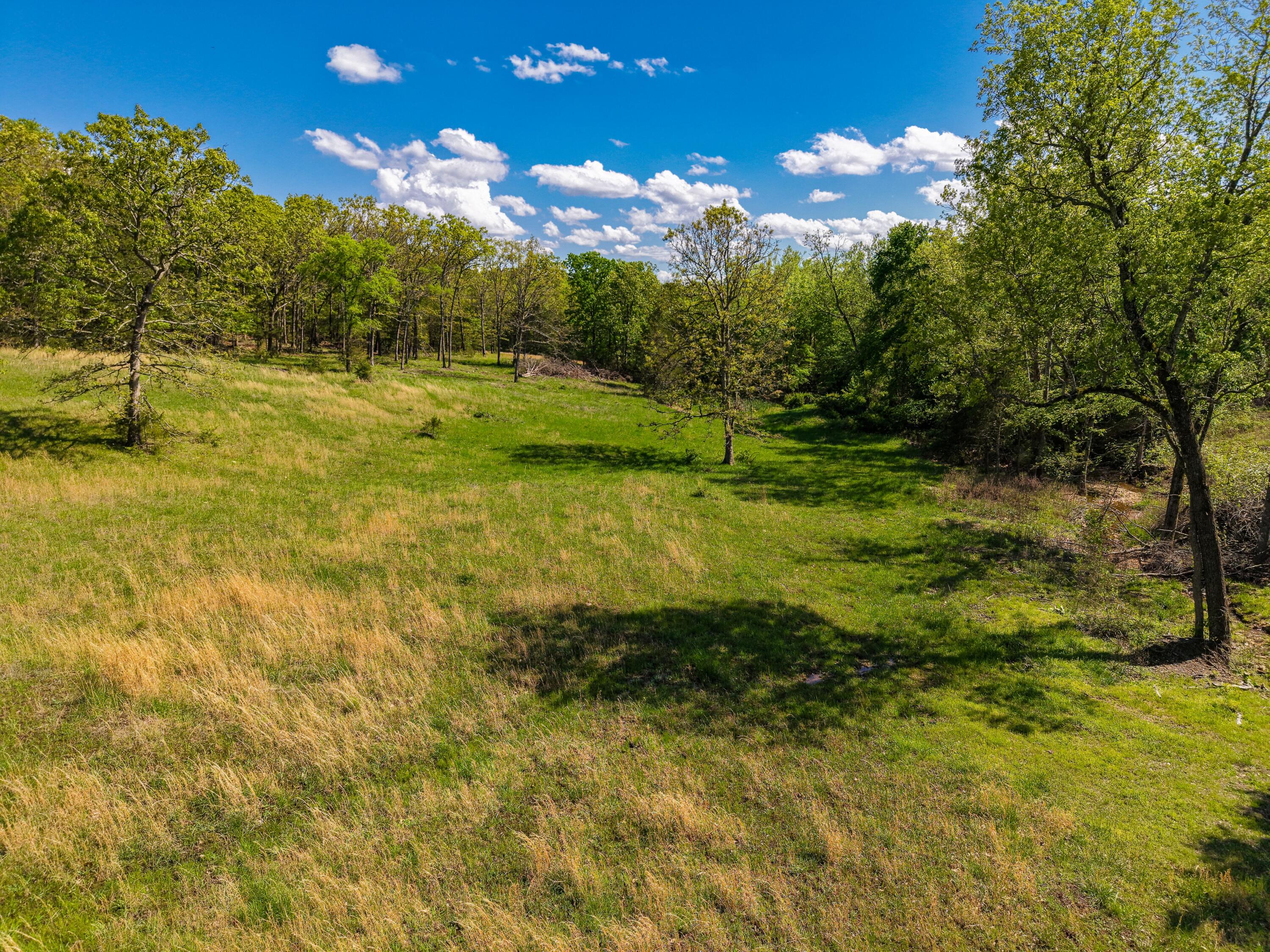 000 State Highway Dd Property Photo 12