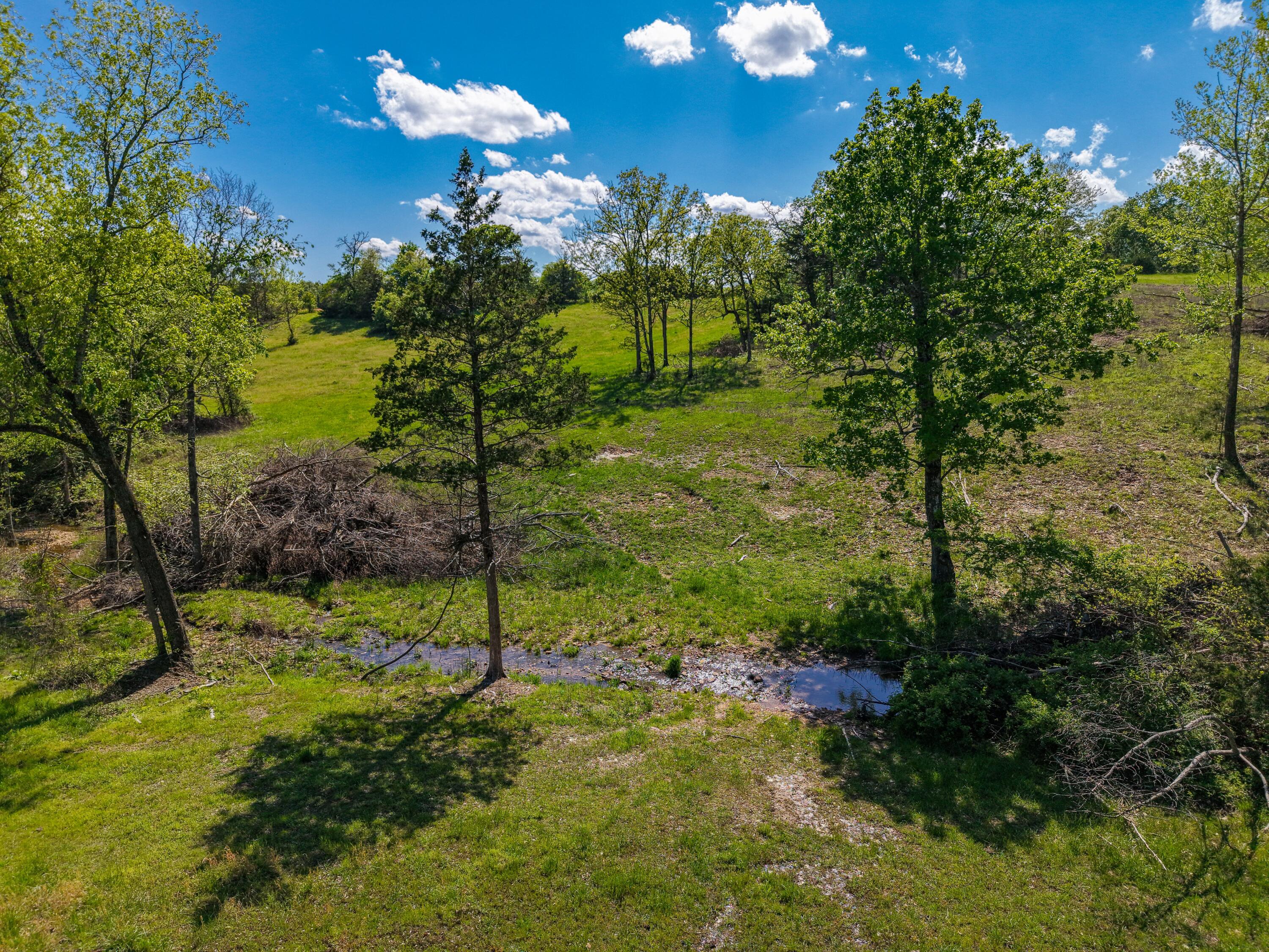 000 State Highway Dd Property Photo 13