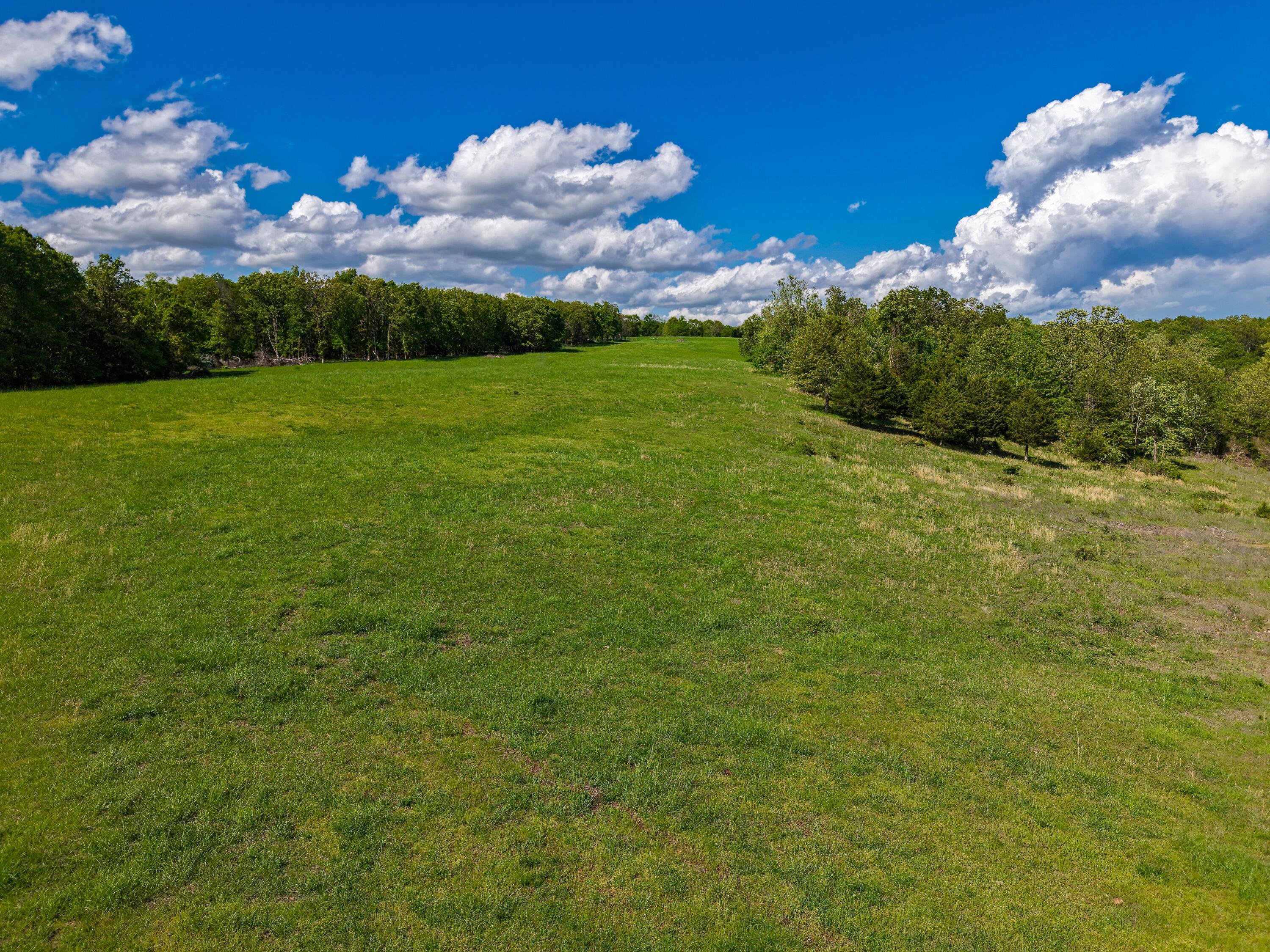 000 State Highway Dd Property Photo 15