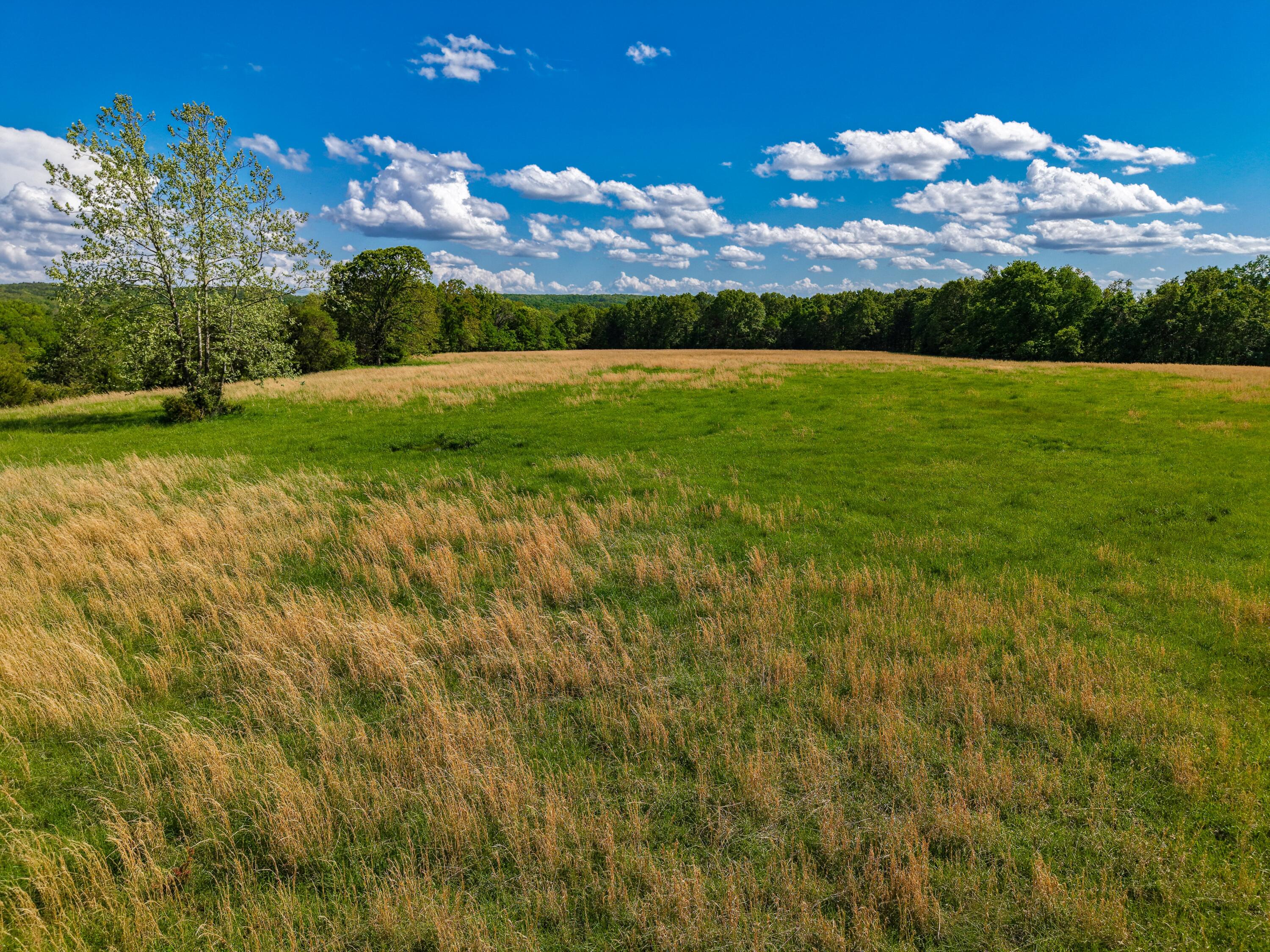 000 State Highway Dd Property Photo 17