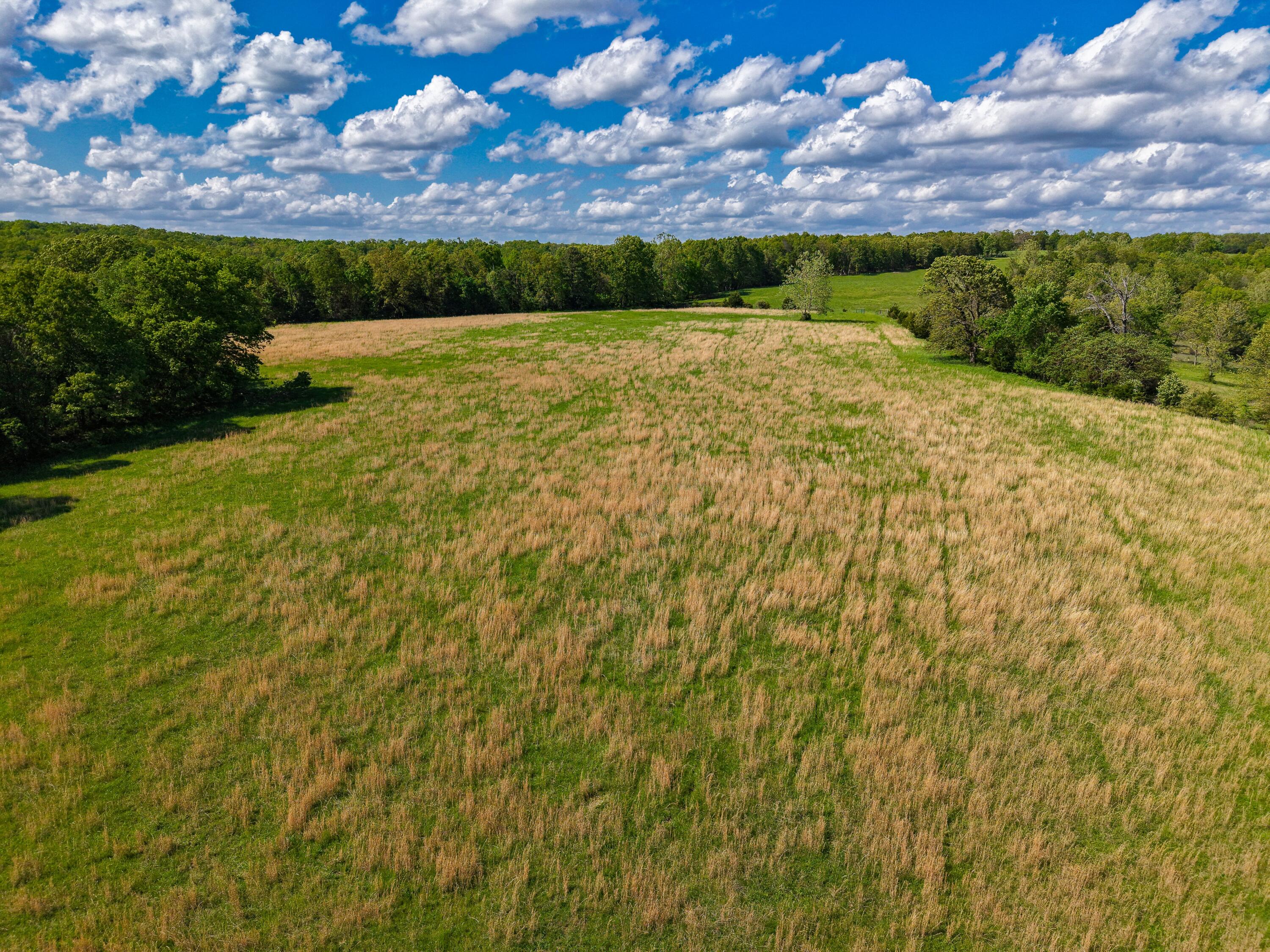 000 State Highway Dd Property Photo 19