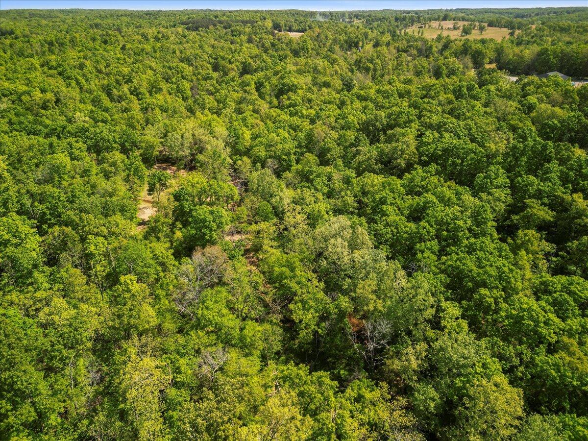 12704 County Road 7370 Property Photo 40