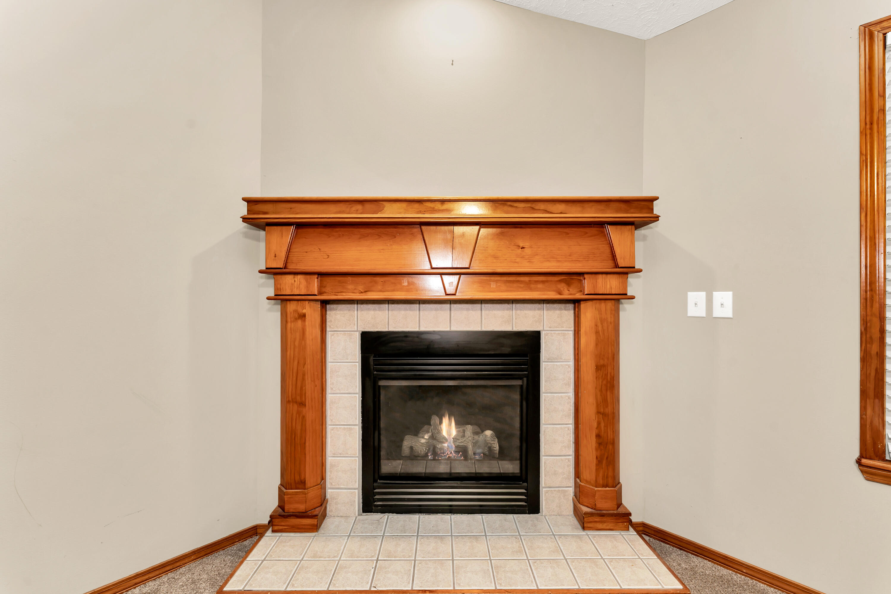 3742 West Village Terrace Property Photo 8