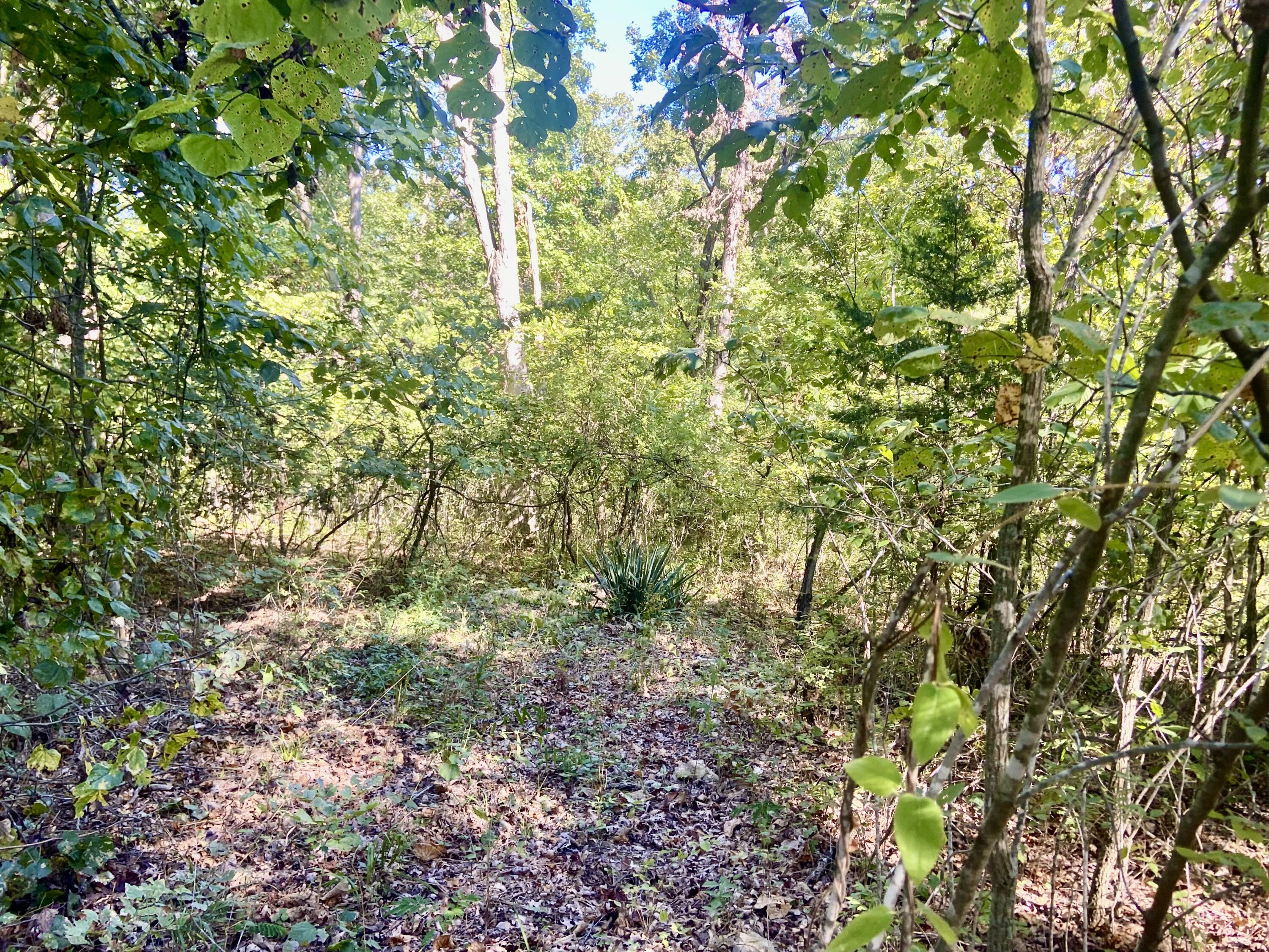 000 North Dade 173 Property Photo 3