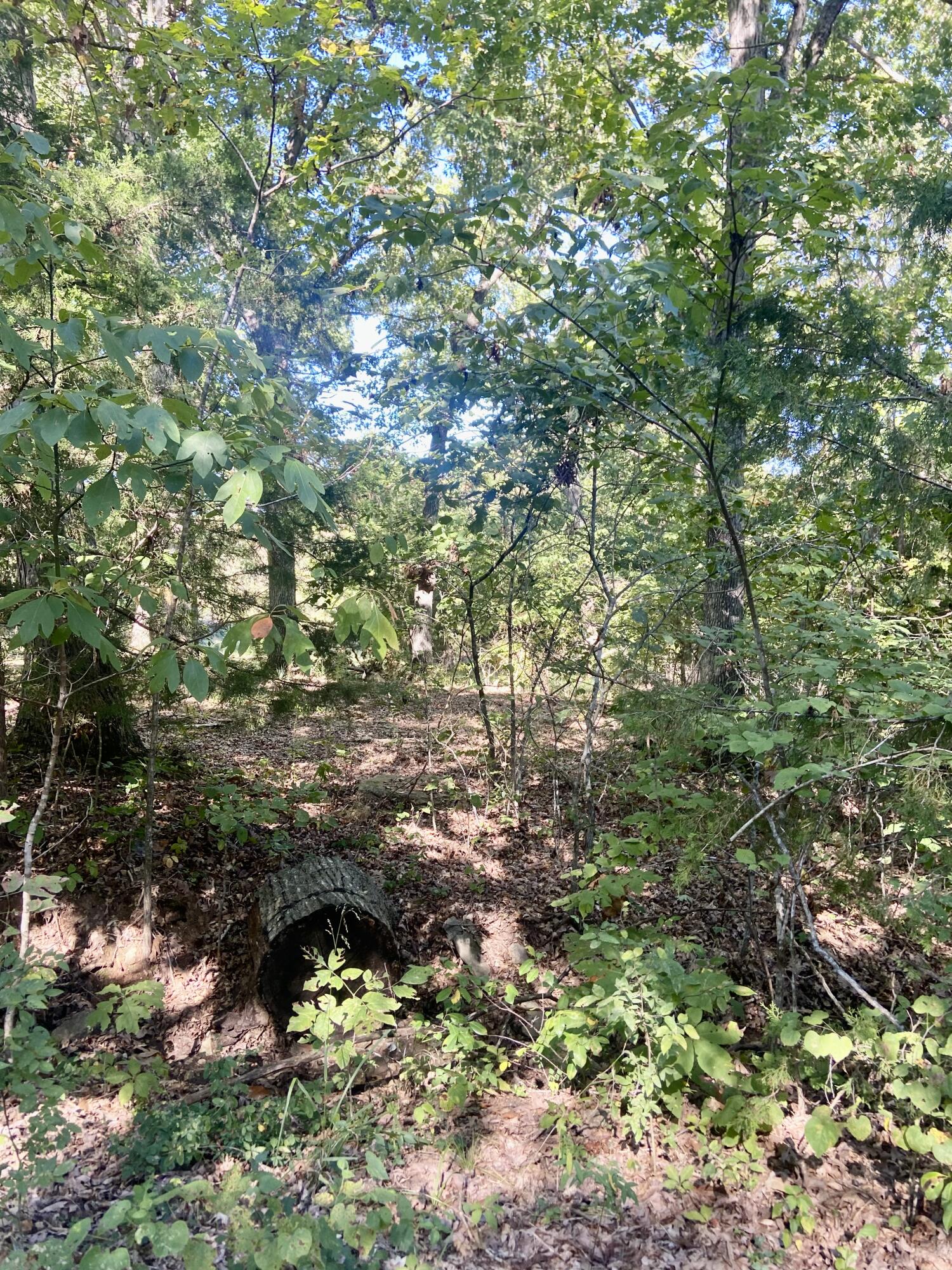 000 North Dade 173 Property Photo 4