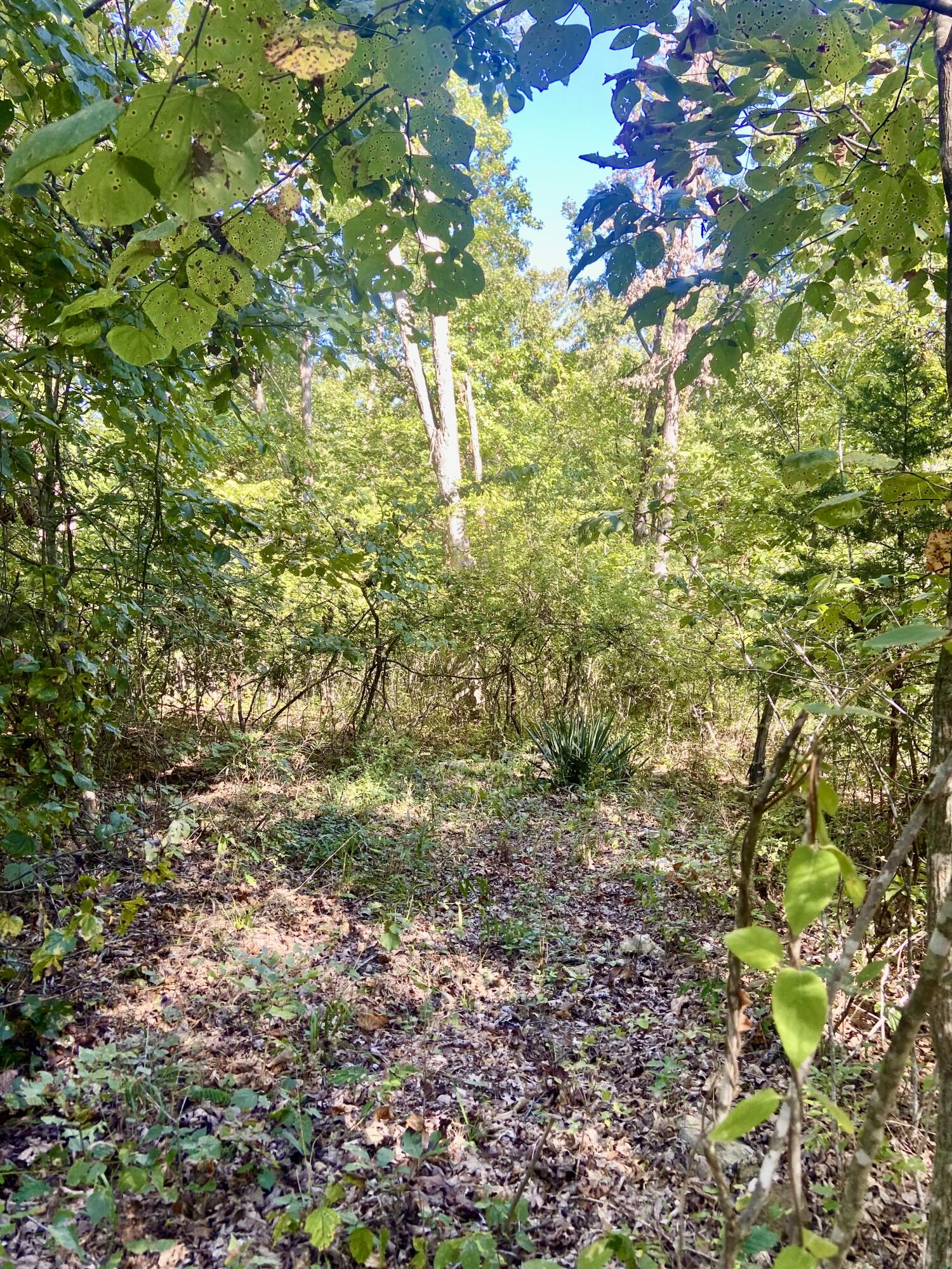 000 North Dade 173 Property Photo 6