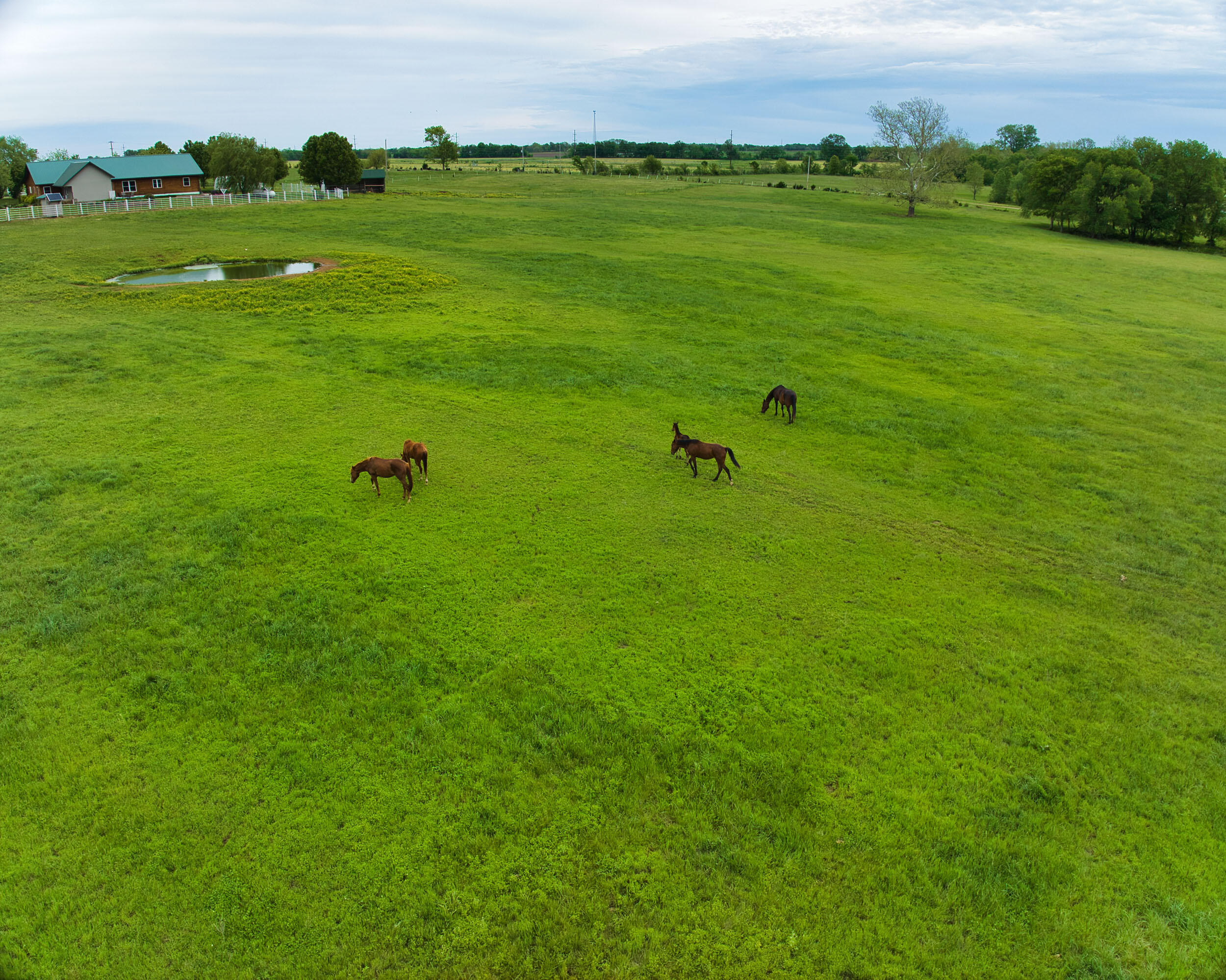 17522 East N Highway Property Photo 45