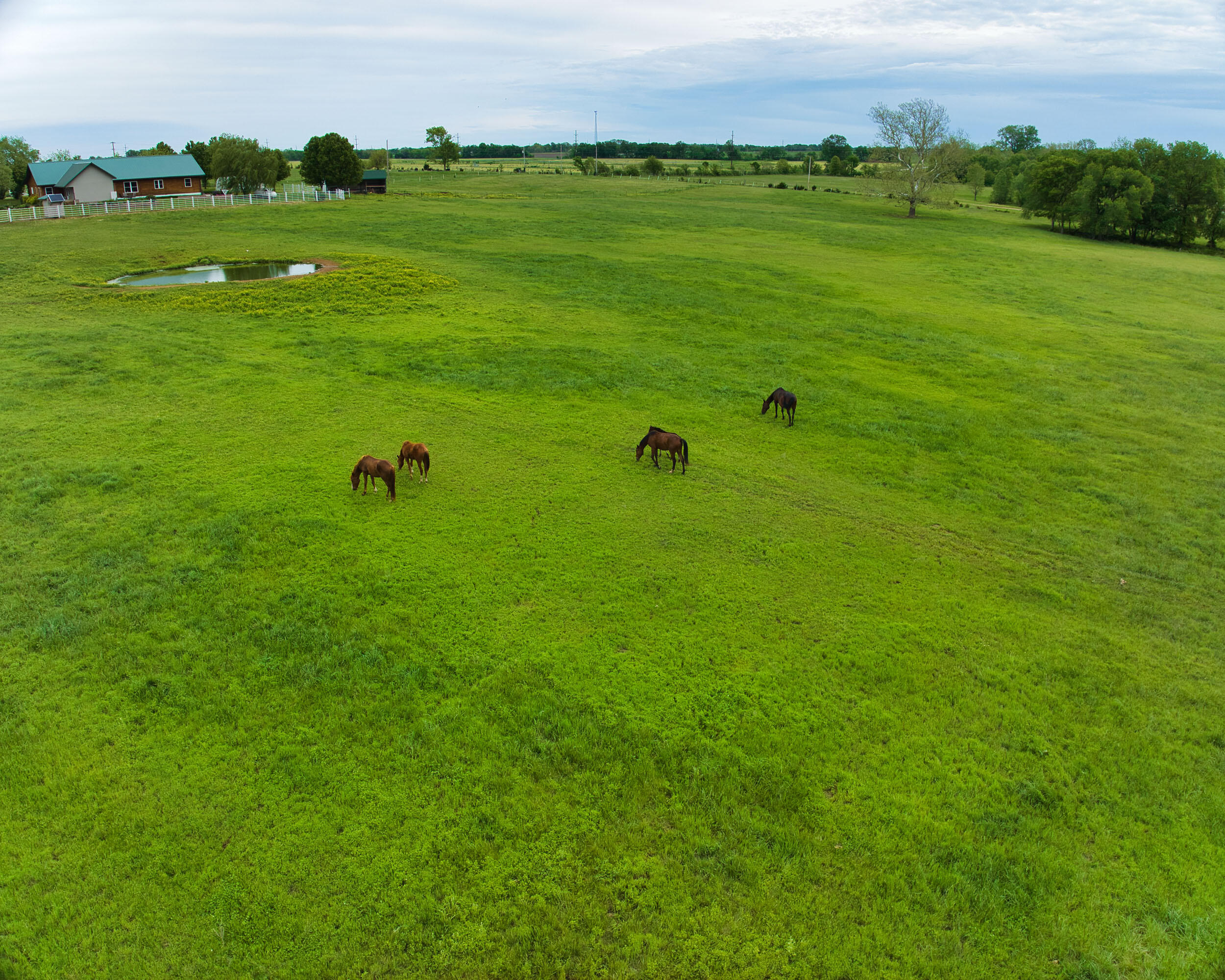 17522 East N Highway Property Photo 46