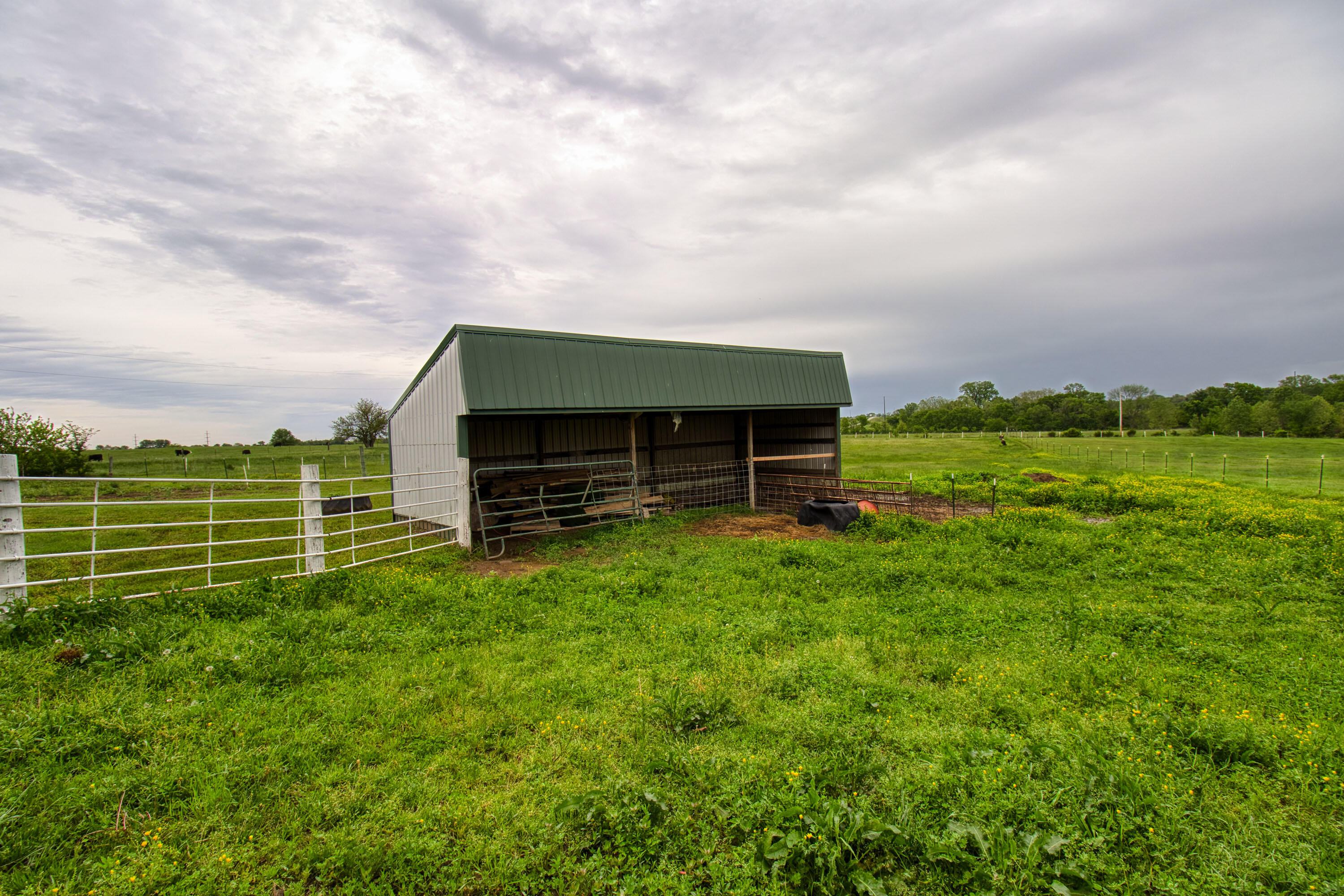 17522 East N Highway Property Photo 110