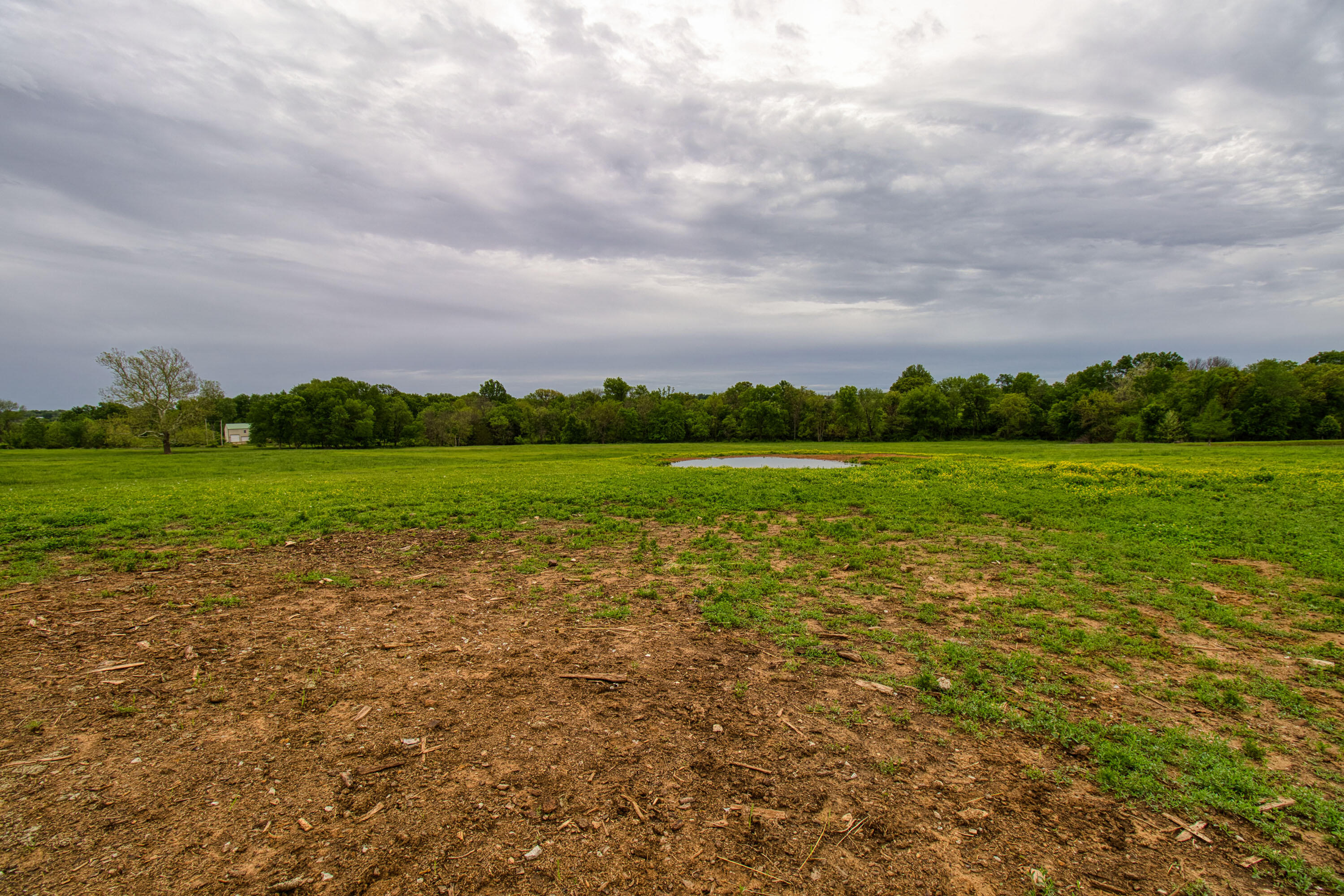 17522 East N Highway Property Photo 142