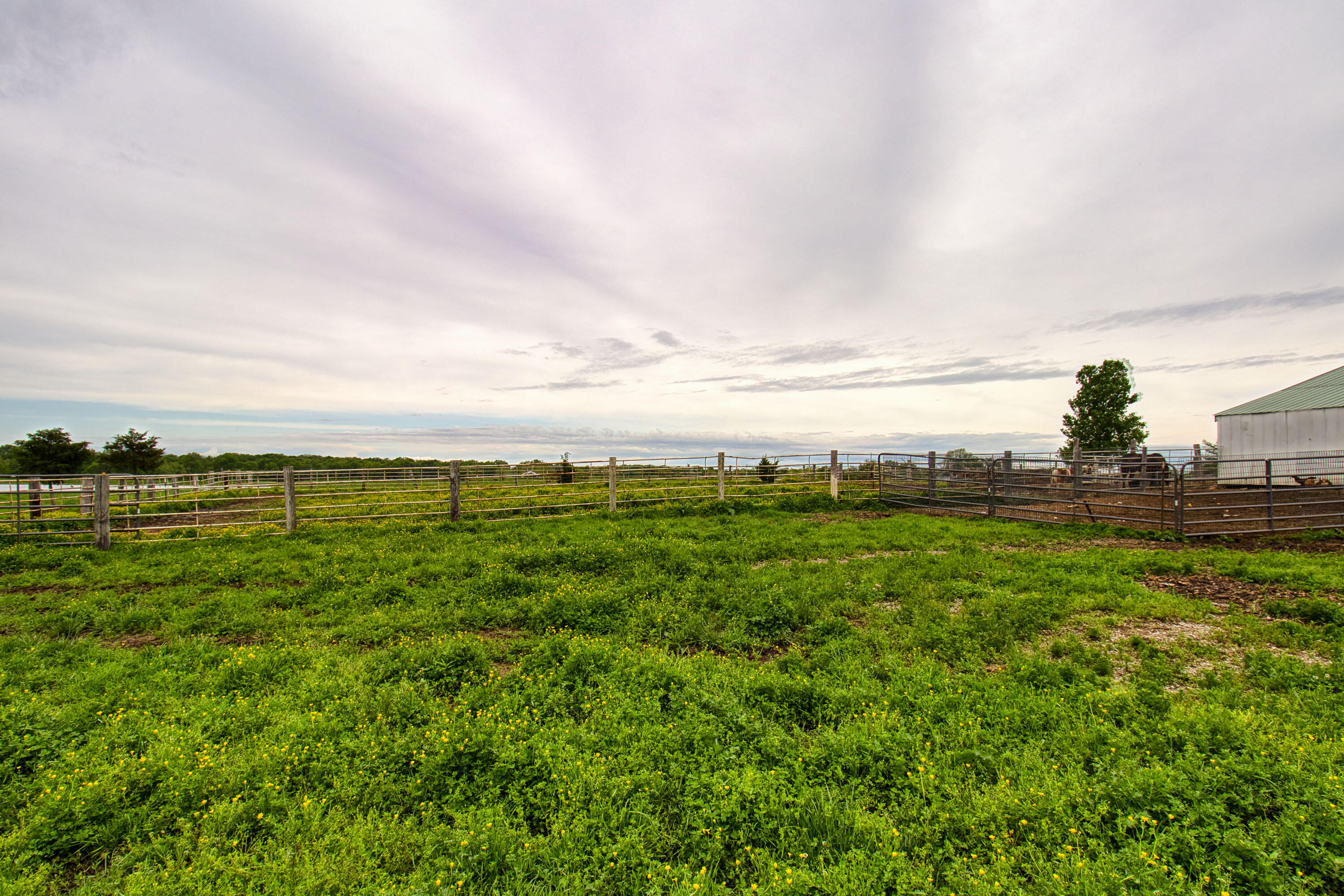 17522 East N Highway Property Photo 144