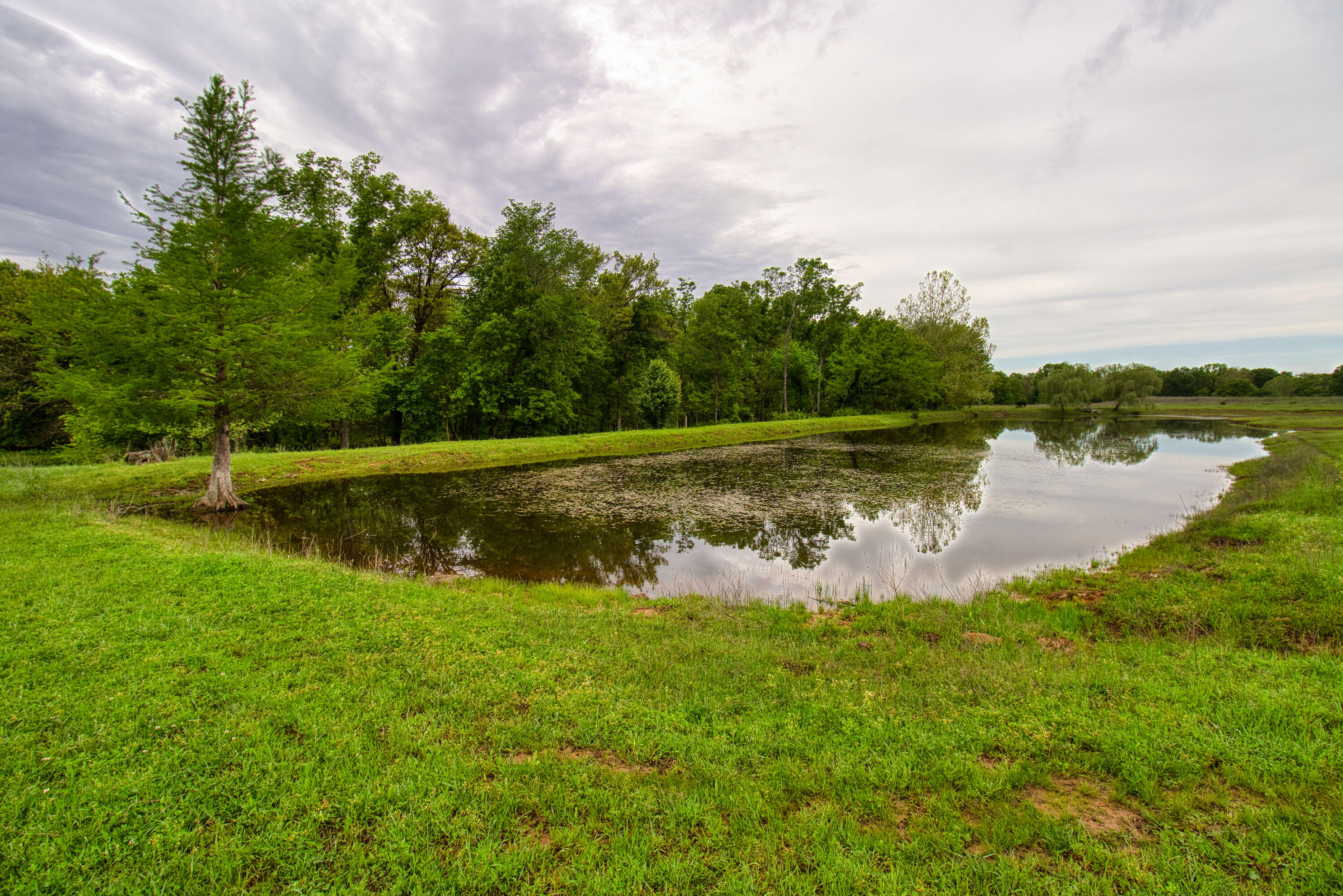 17522 East N Highway Property Photo 145