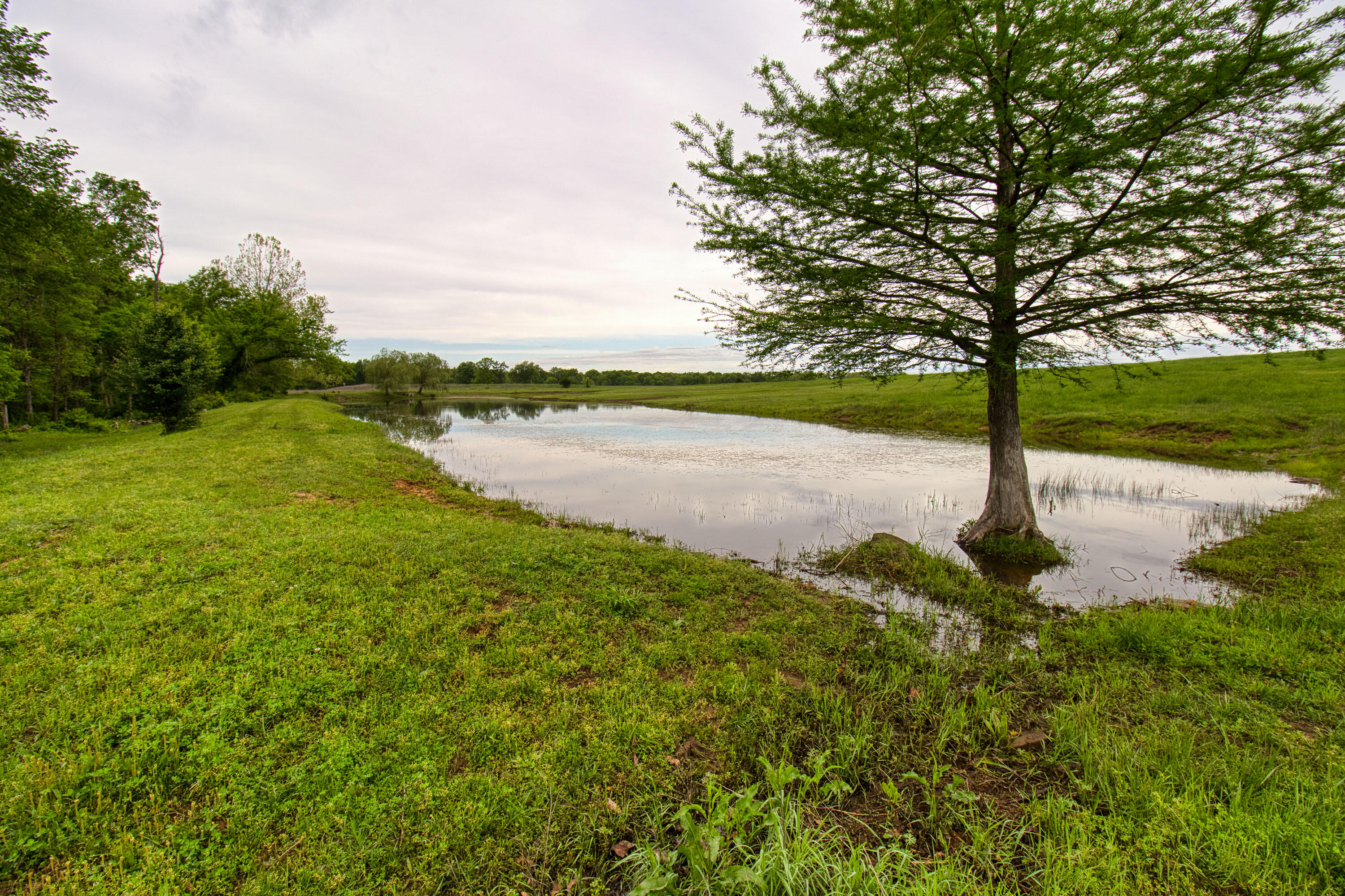 17522 East N Highway Property Photo 146