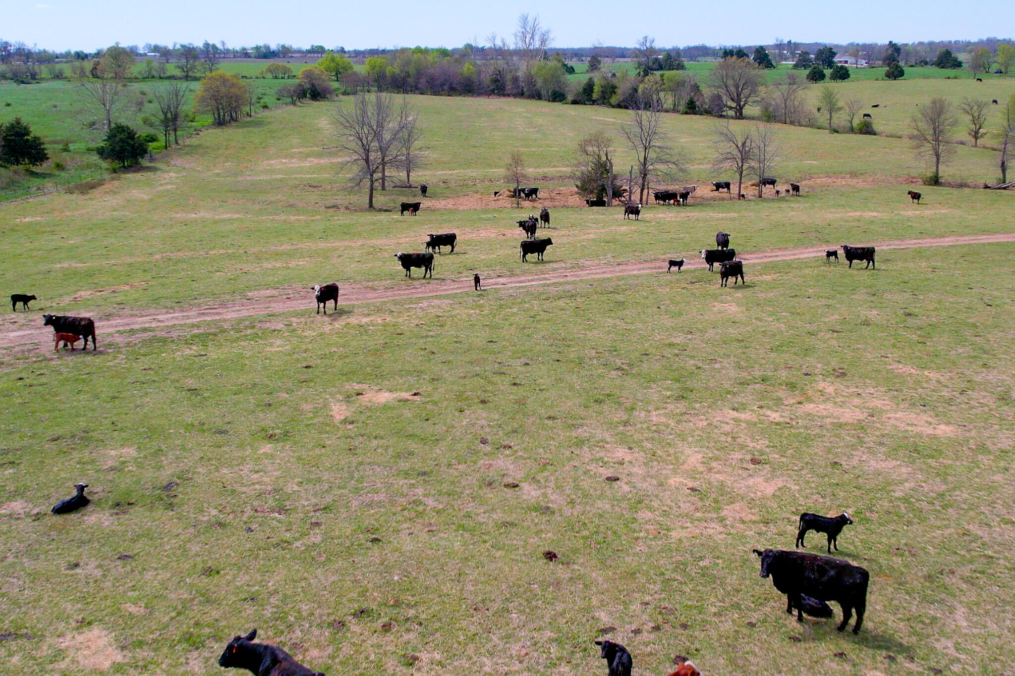 3739 Fr 1240 Property Photo 15
