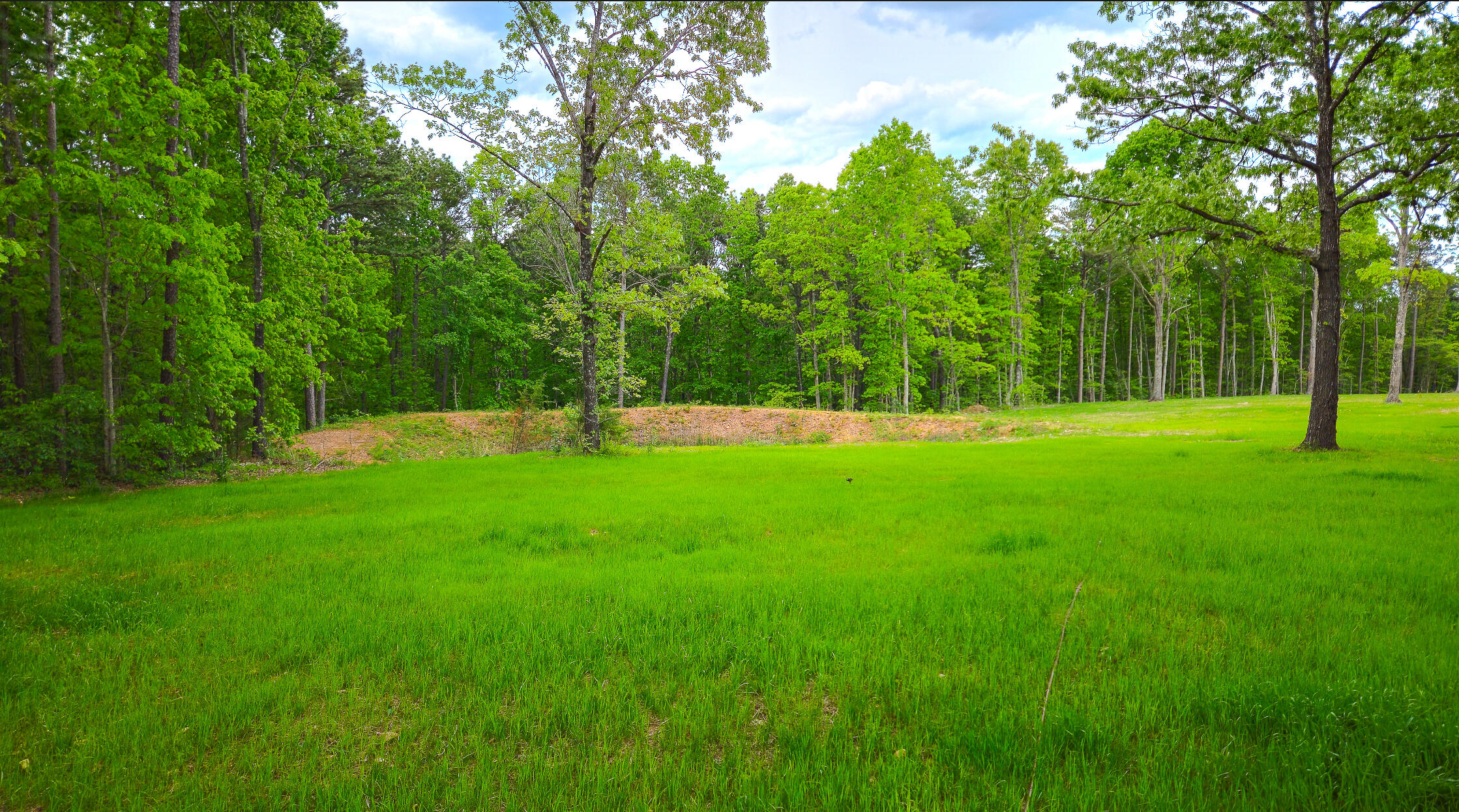 14721 Boiling Springs Road Property Photo 42