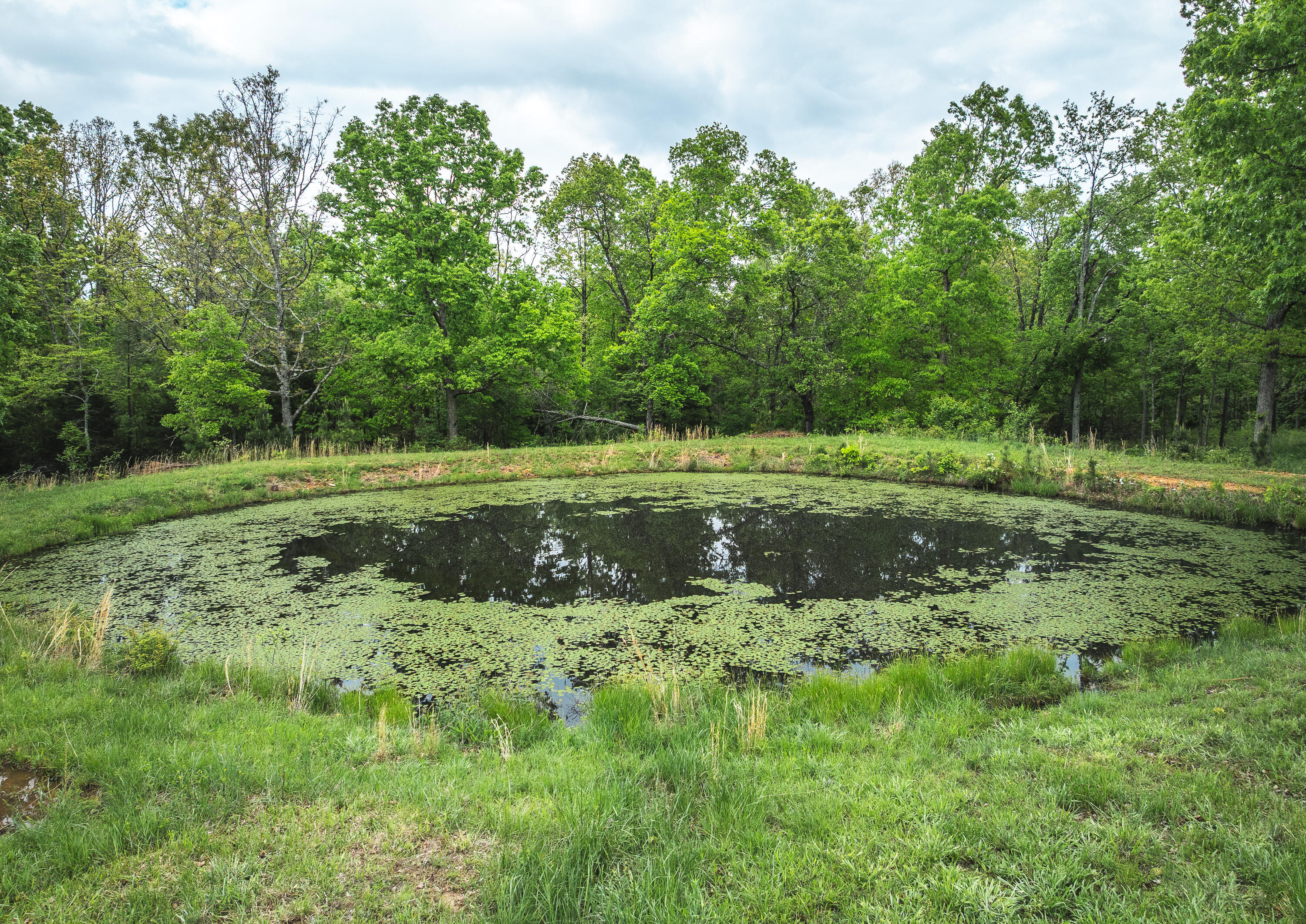 20623 West Ashley Creek Road Property Photo 9