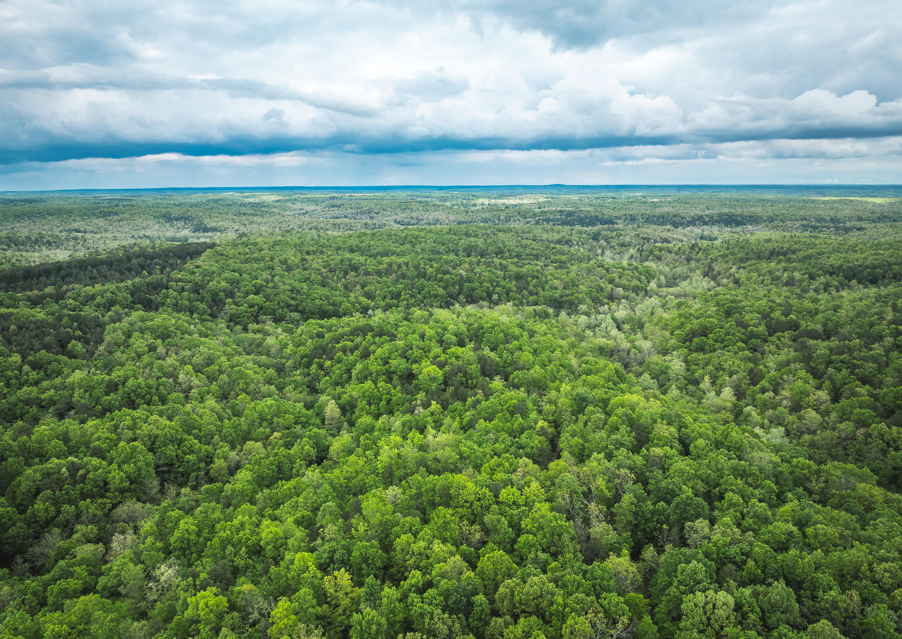 20623 West Ashley Creek Road Property Photo 40