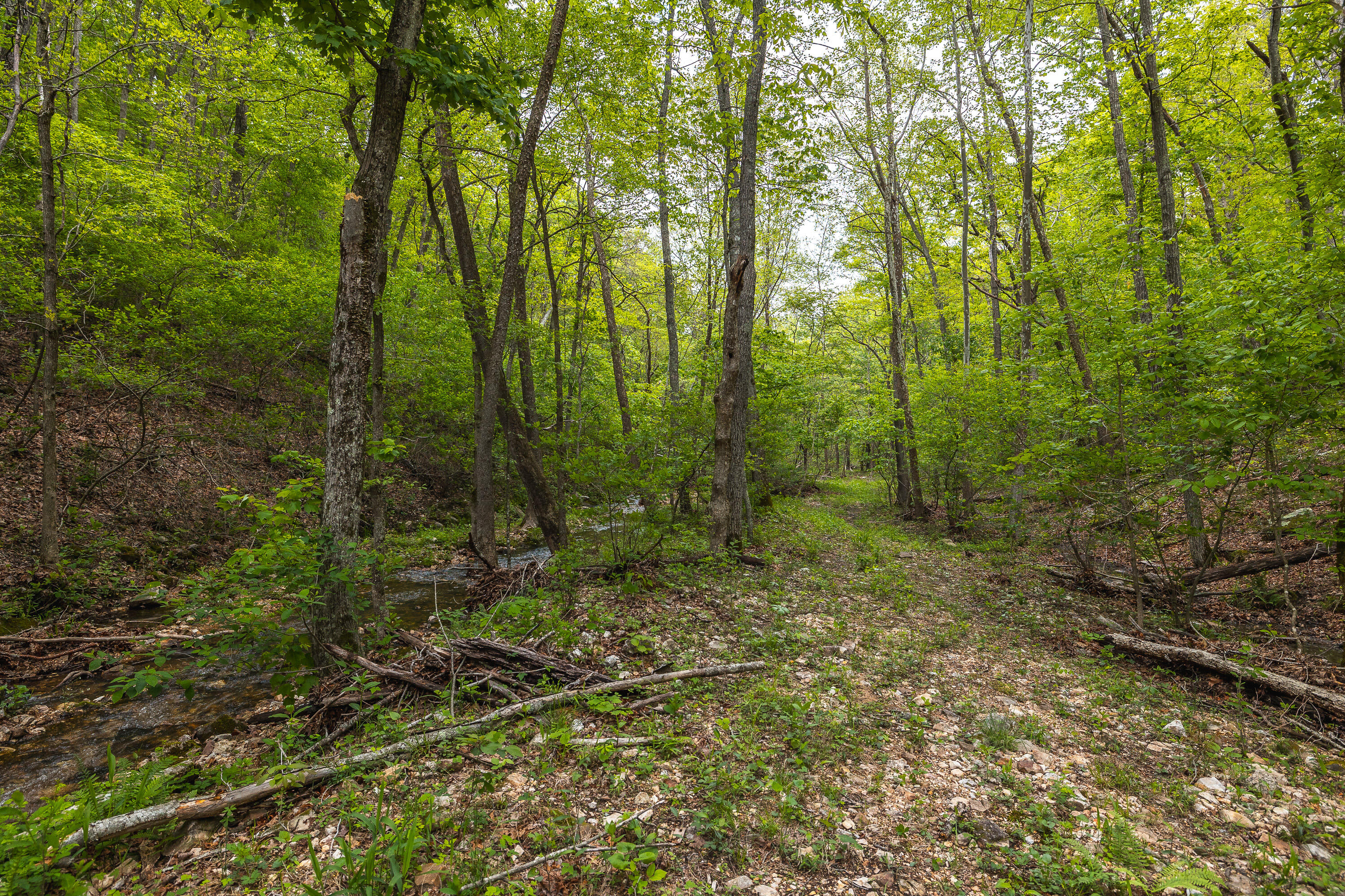 20623 West Ashley Creek Road Property Photo 41