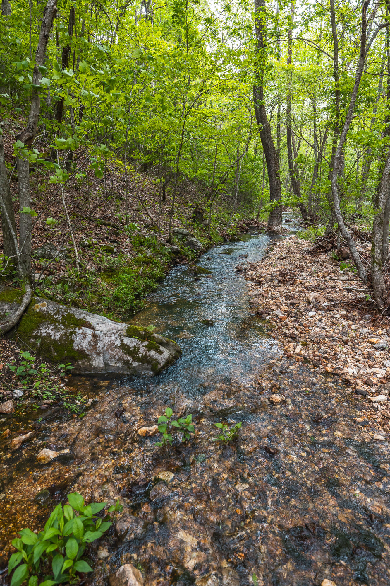 20623 West Ashley Creek Road Property Photo 47