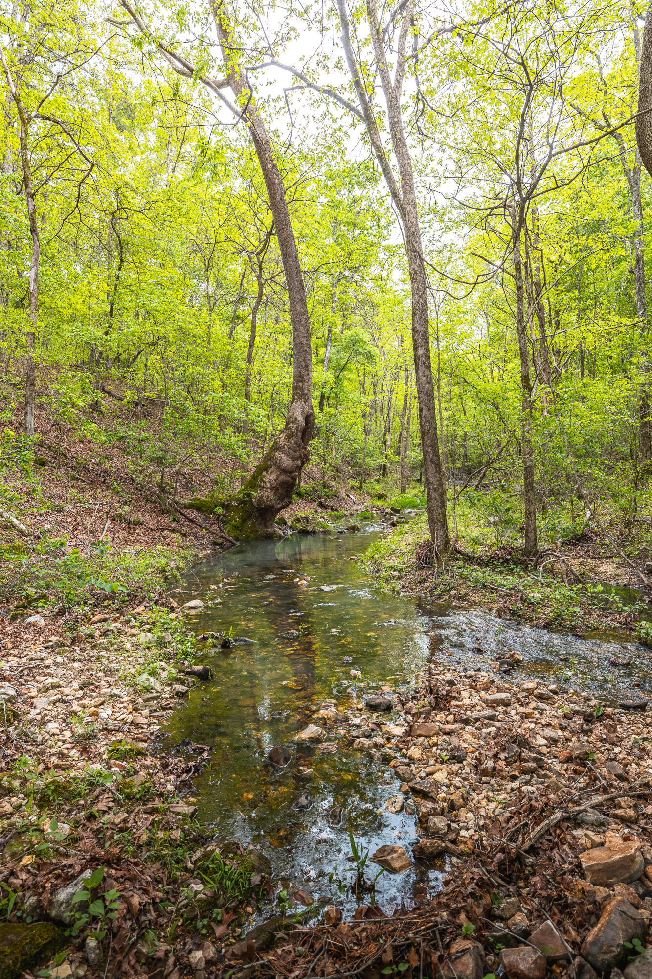 20623 West Ashley Creek Road Property Photo 51