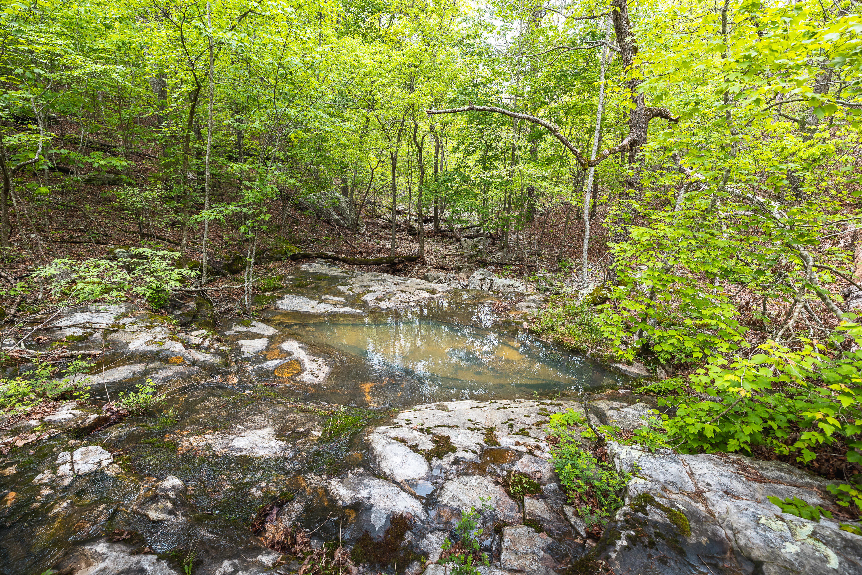 20623 West Ashley Creek Road Property Photo 55