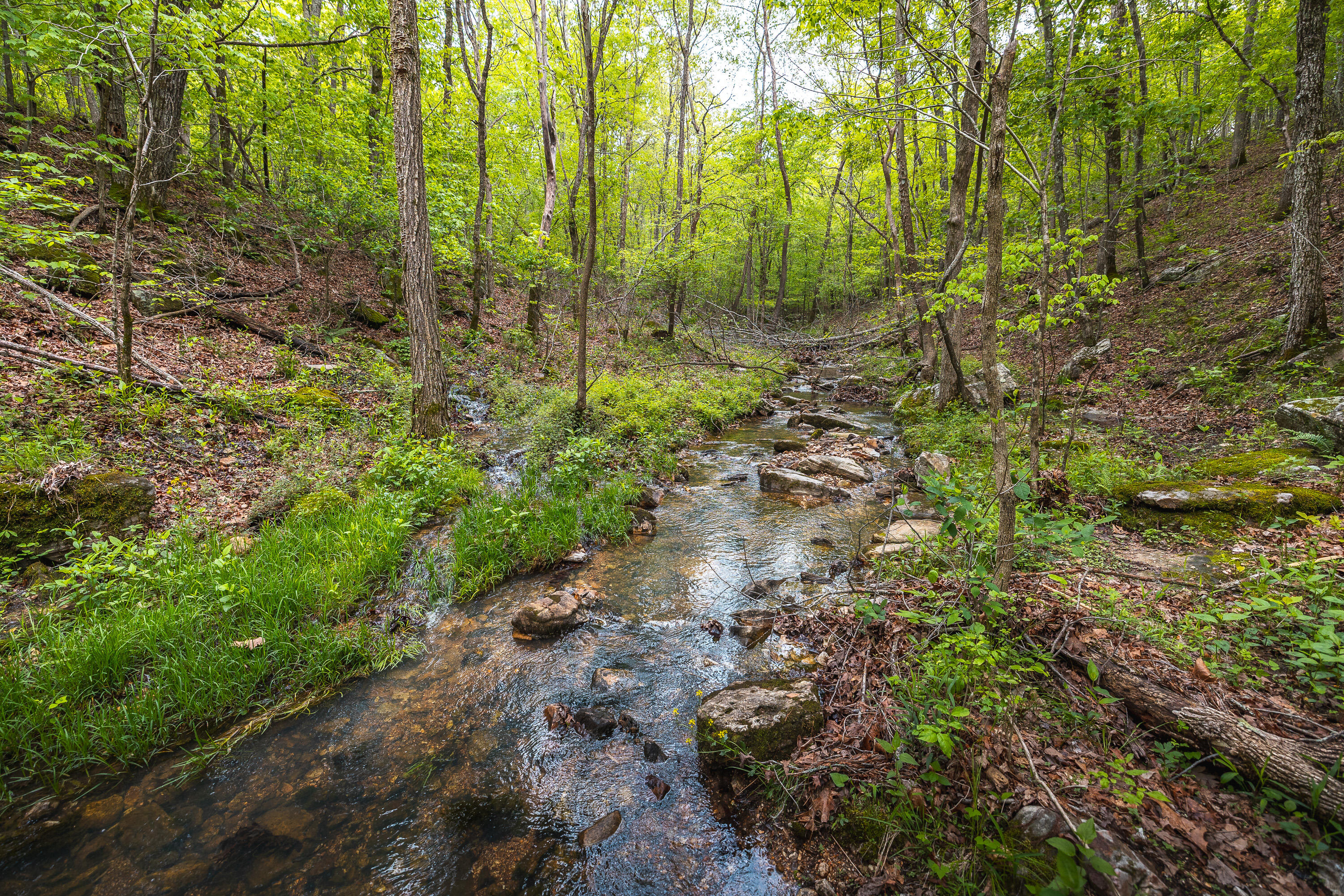 20623 West Ashley Creek Road Property Photo 58