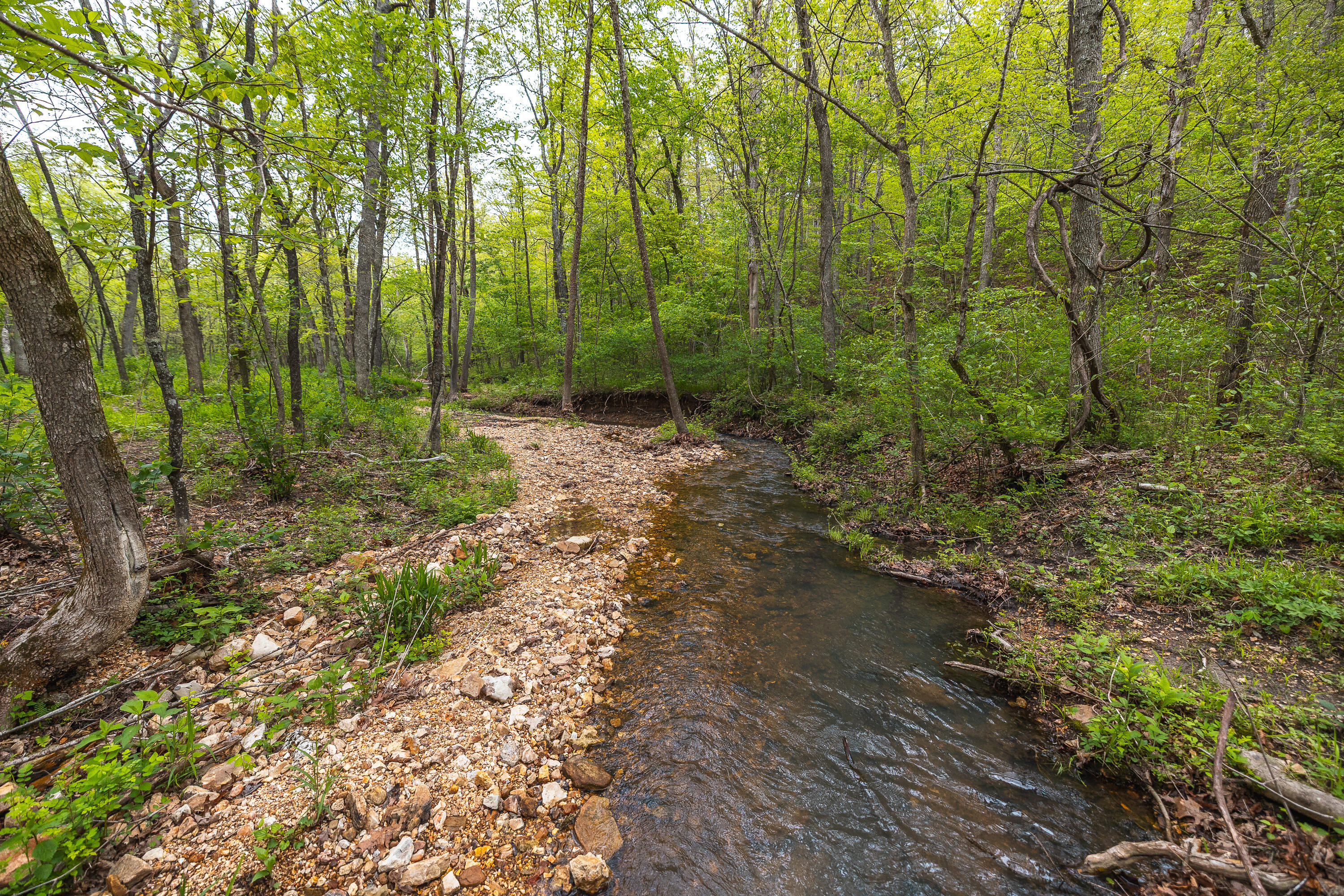 20623 West Ashley Creek Road Property Photo 61