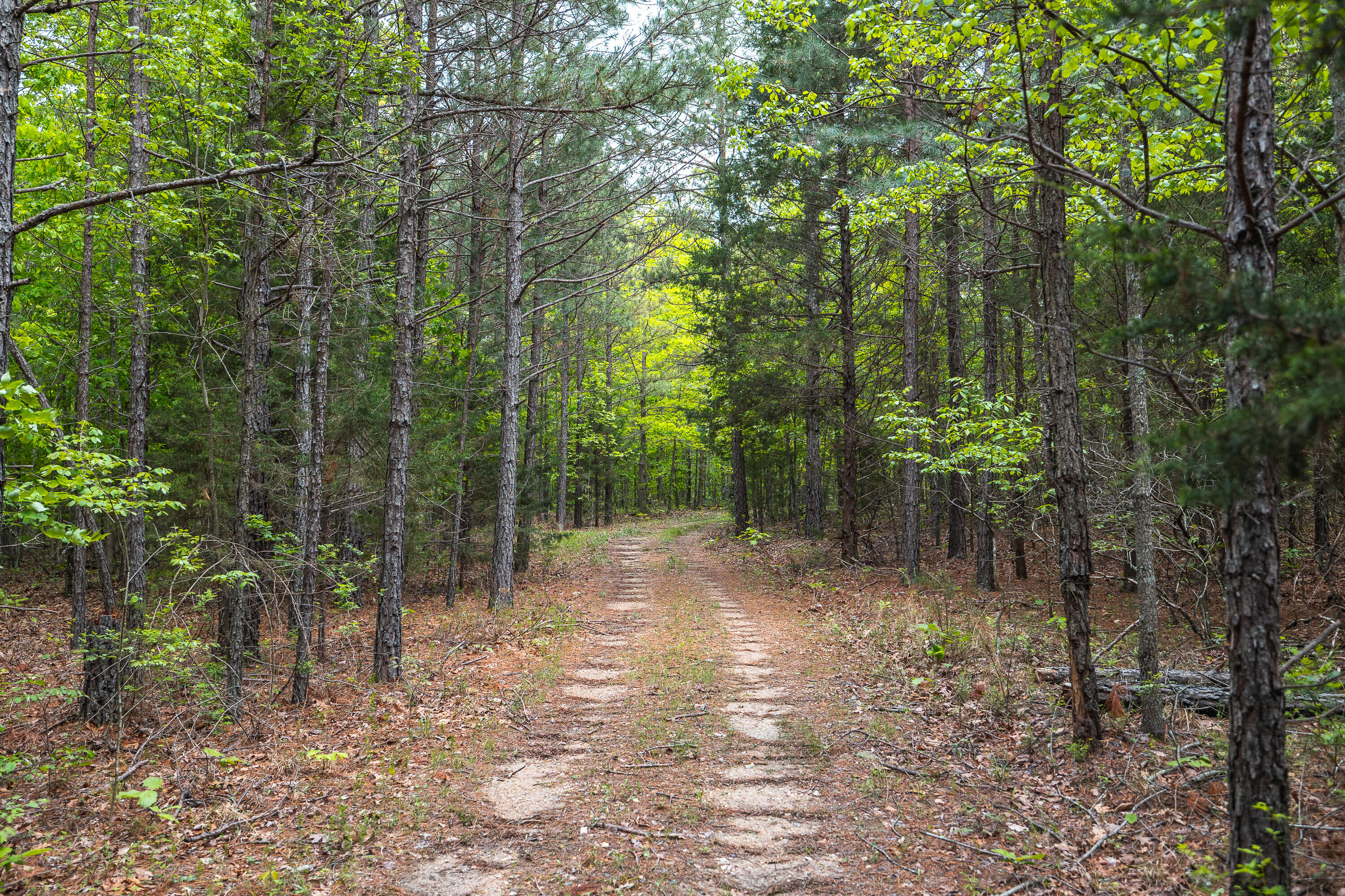 20623 West Ashley Creek Road Property Photo 64