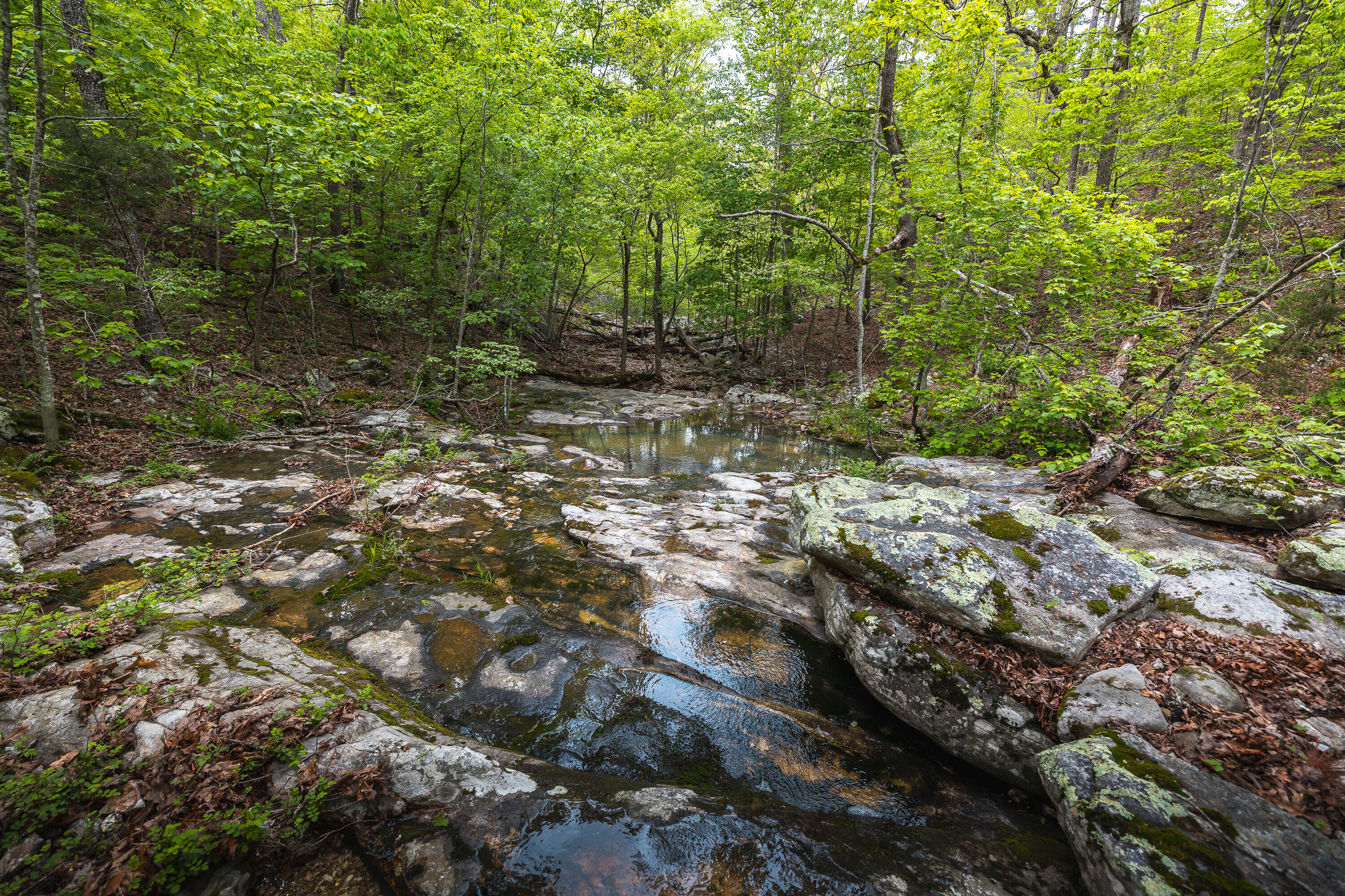 20623 West Ashley Creek Road Property Photo 67