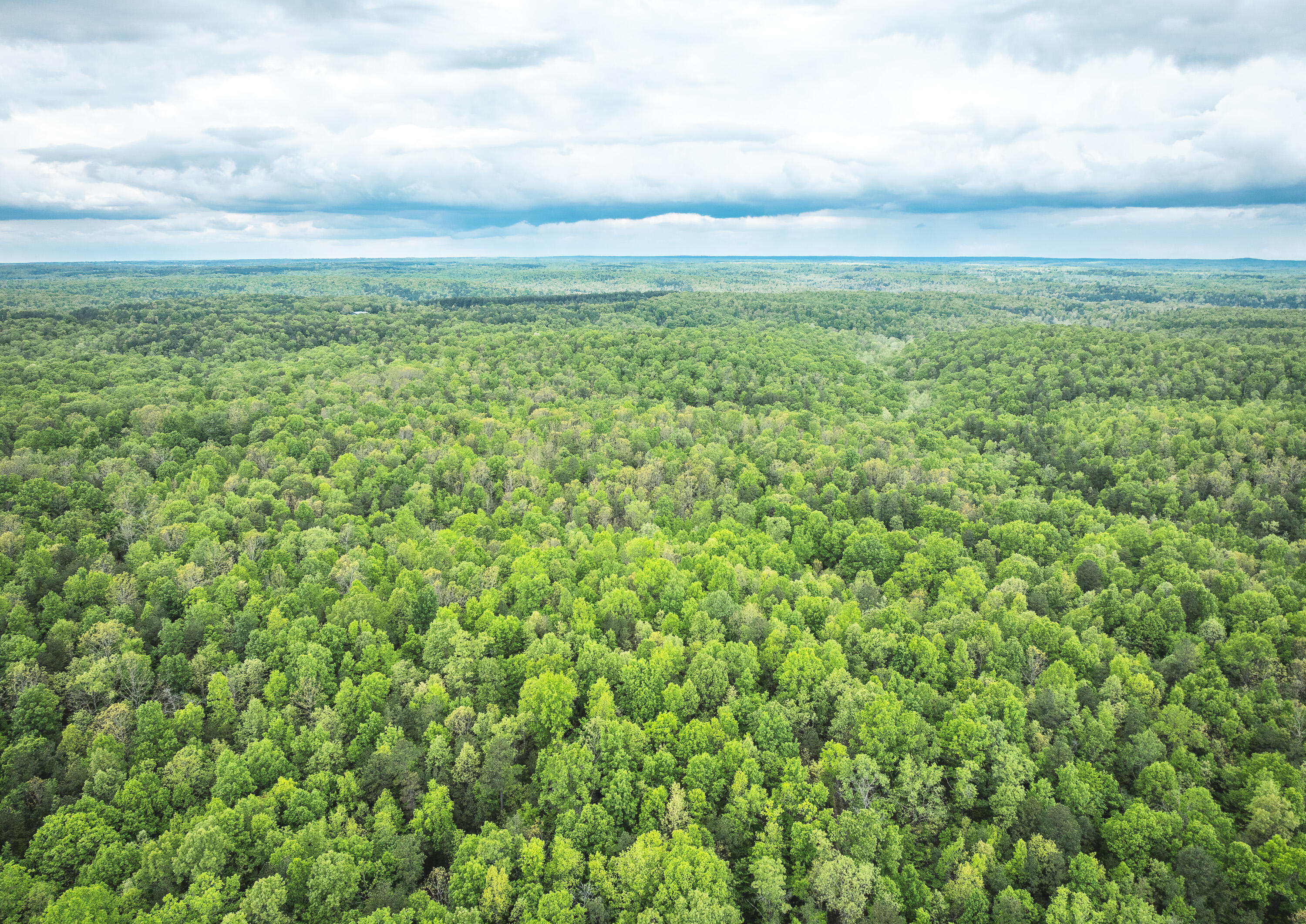 20623 West Ashley Creek Road Property Photo 69