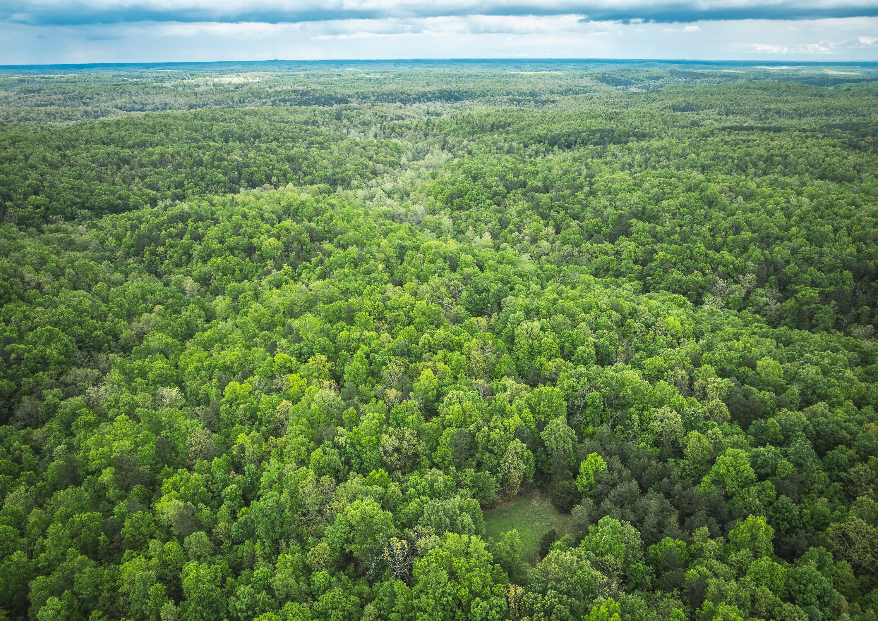 20623 West Ashley Creek Road Property Photo 70