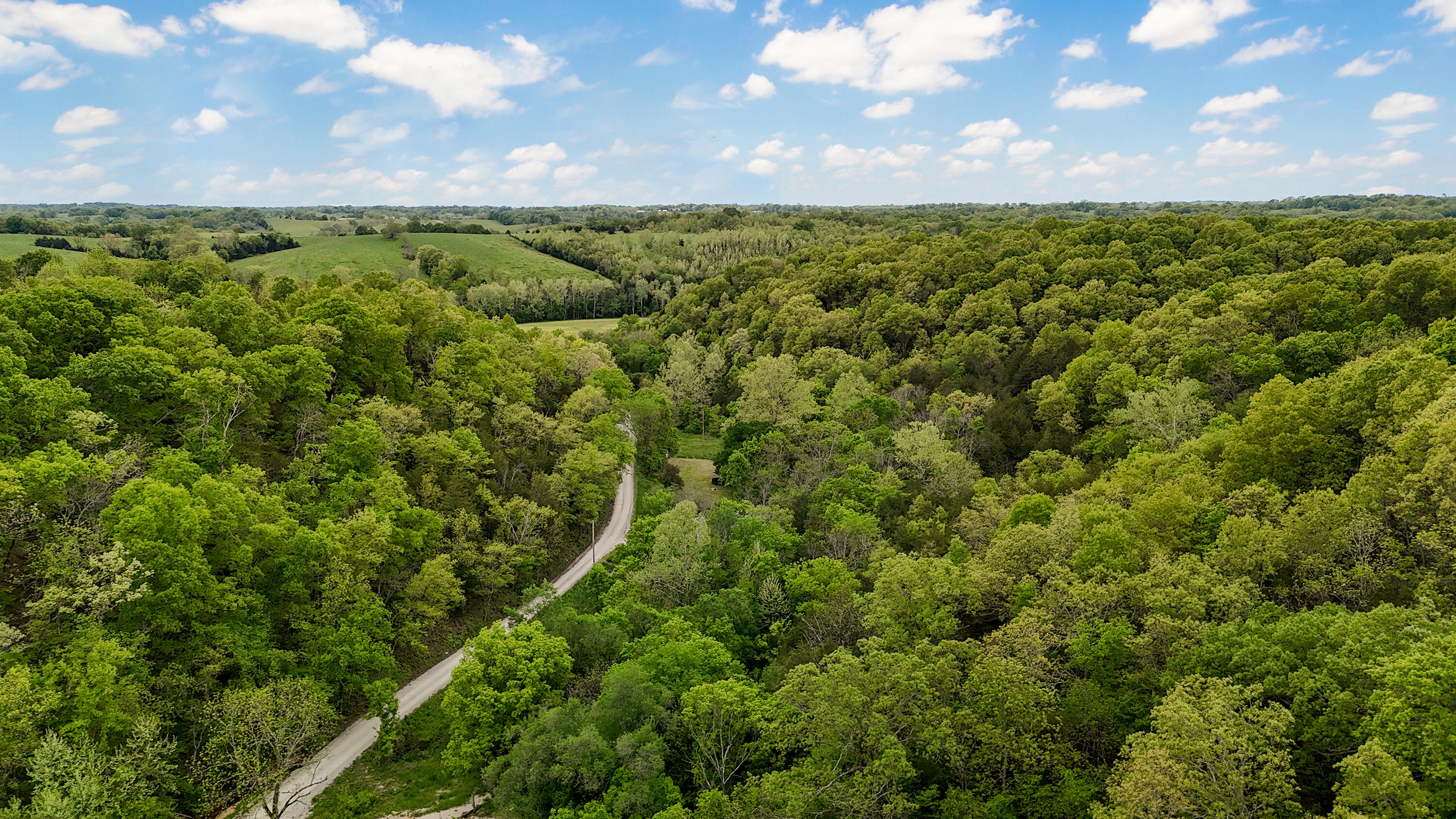 263 Shop Hollow Road Property Photo 16