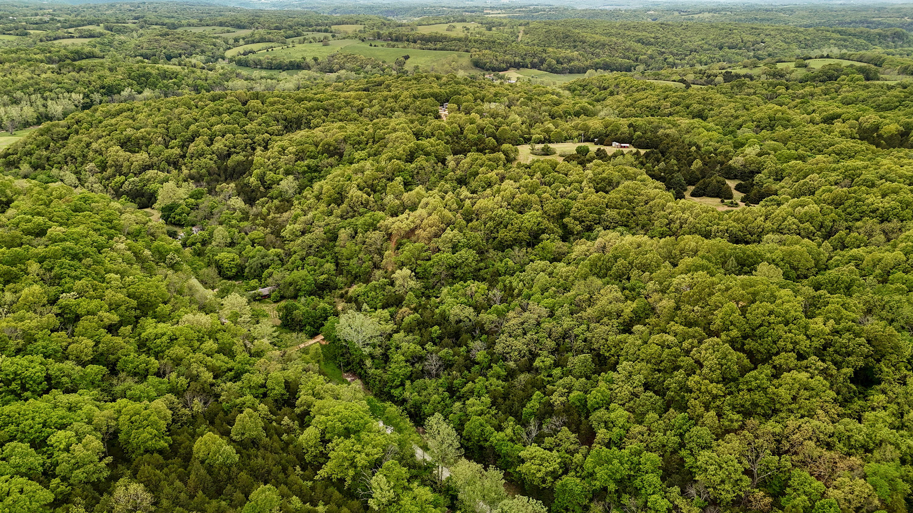 263 Shop Hollow Road Property Photo 25