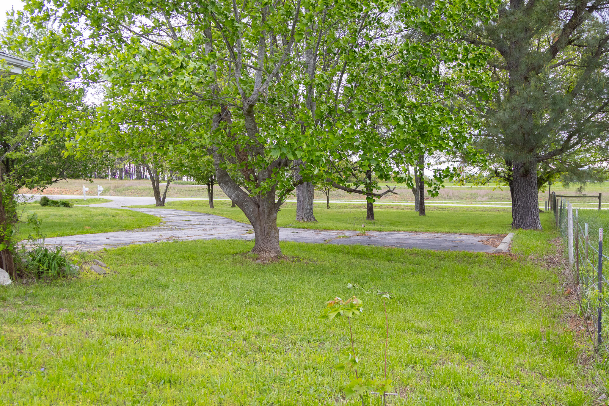38 Martin Ln Property Photo 90