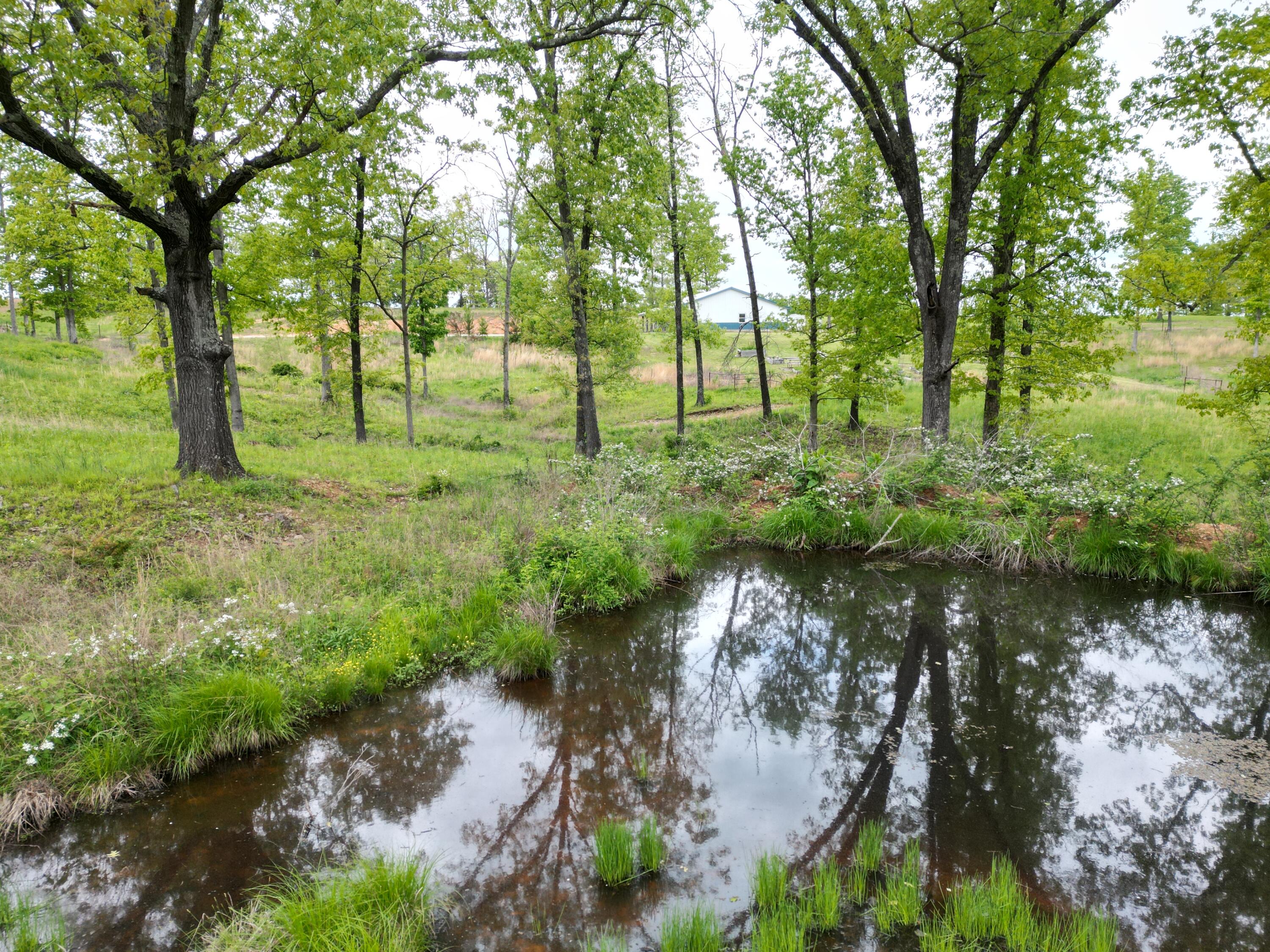 8065 Gourley Road Property Photo 3