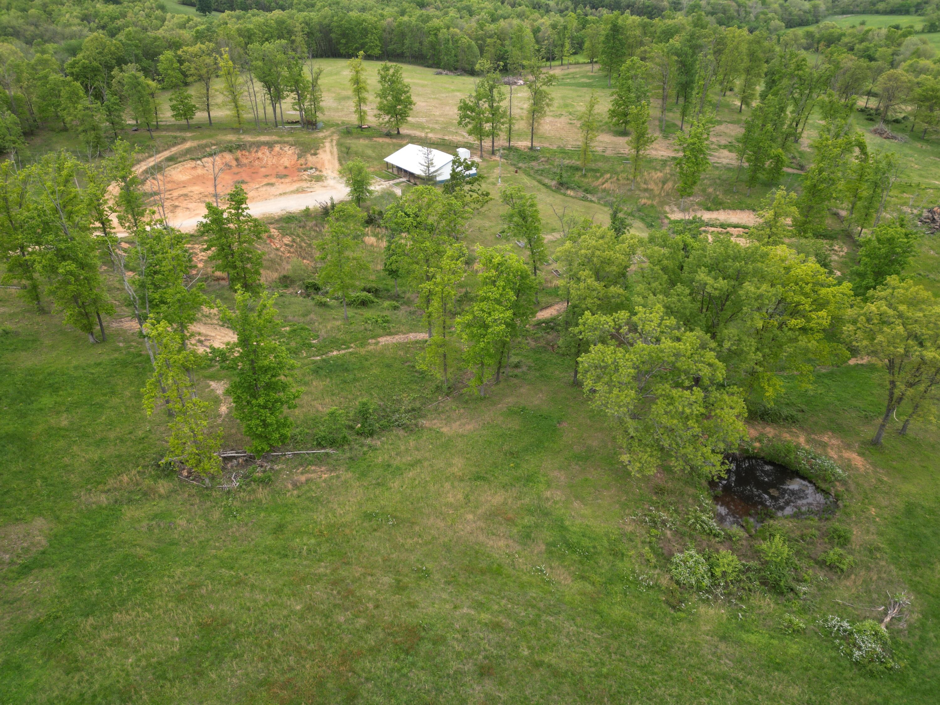 8065 Gourley Road Property Photo 16
