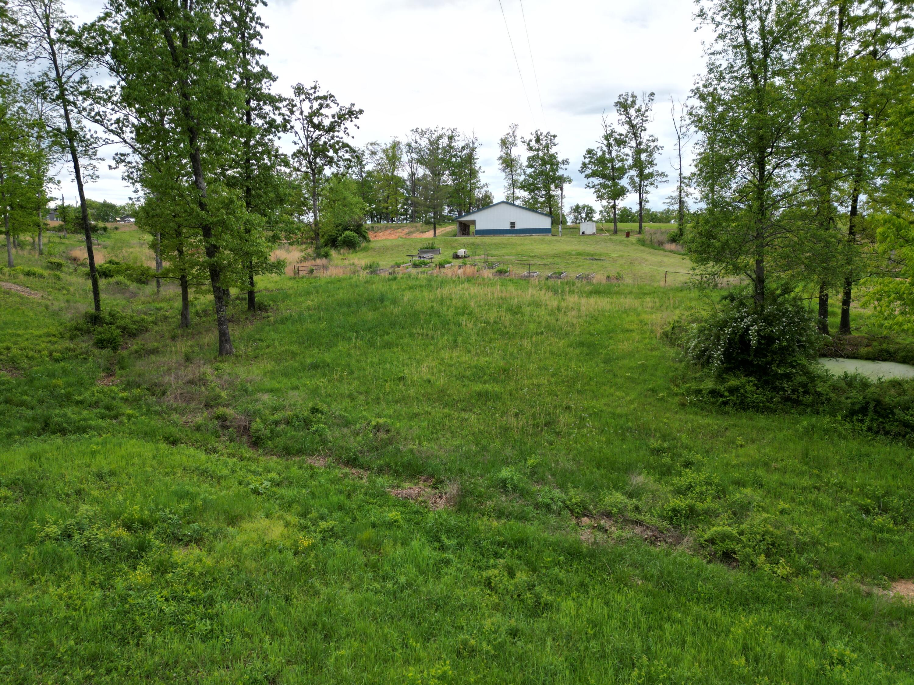 8065 Gourley Road Property Photo 17