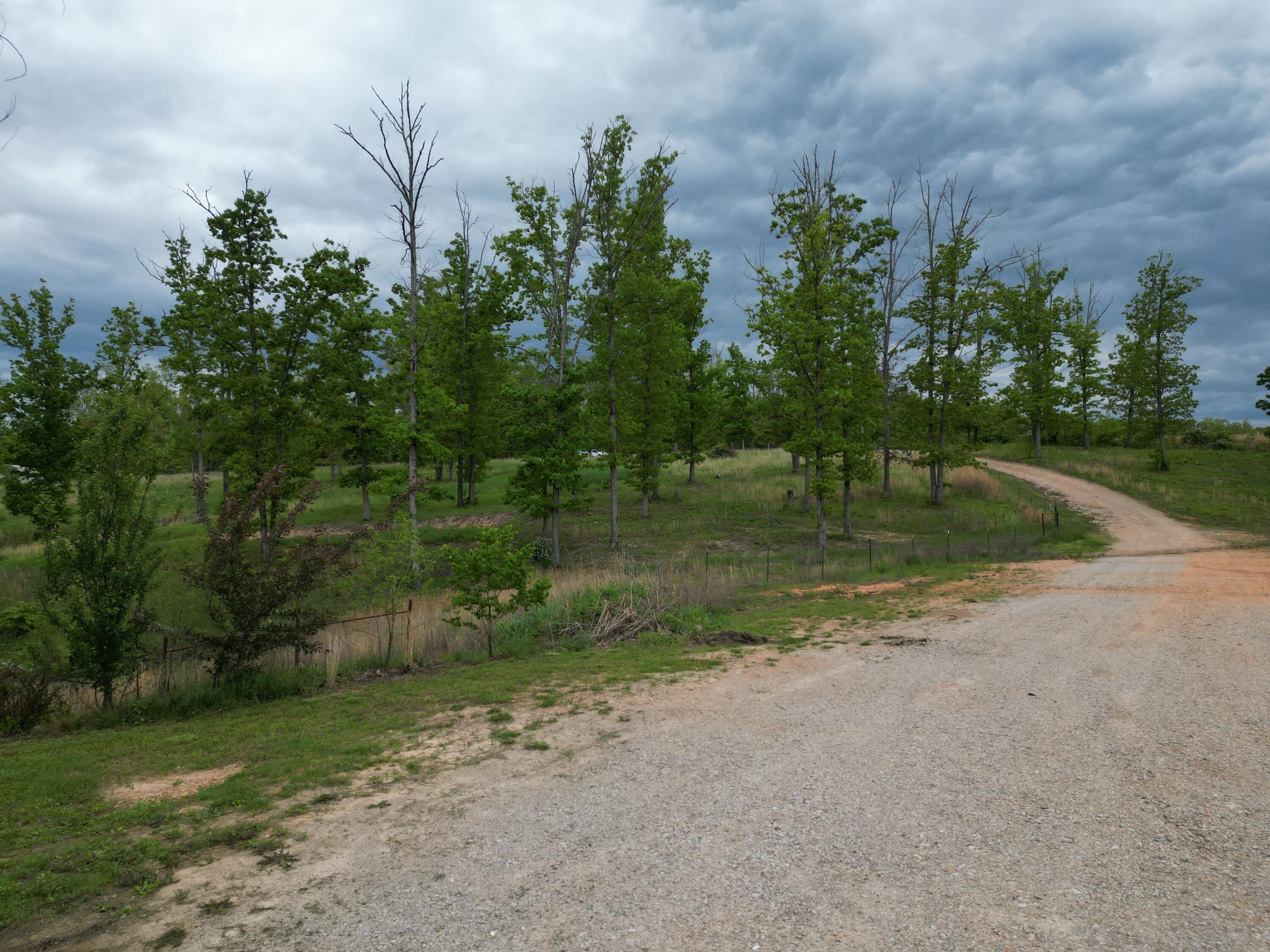 8065 Gourley Road Property Photo 20