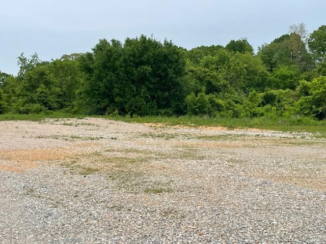 1411 Tom Frommell Memorial Dr Property Photo 6
