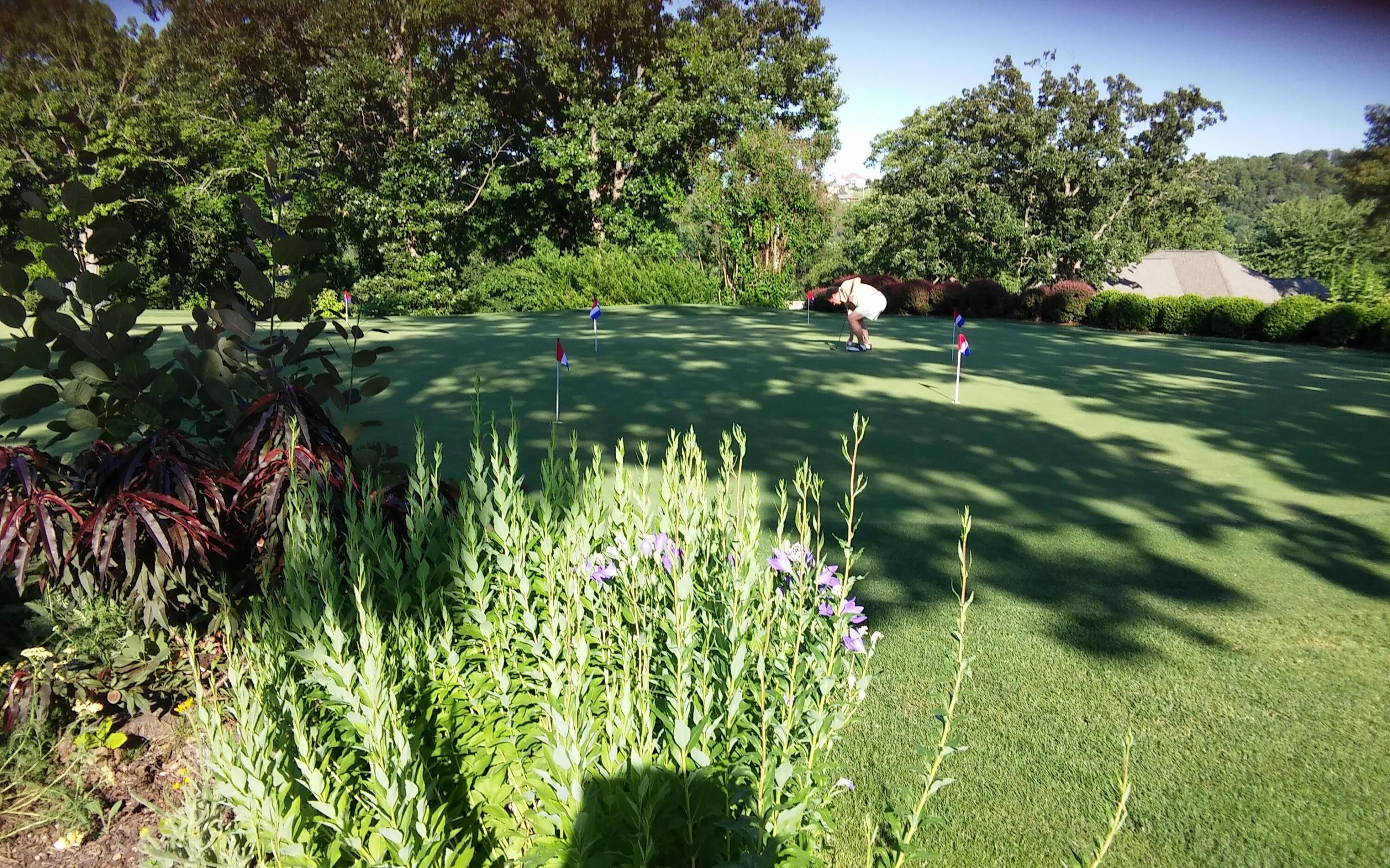 186 Bunker Ridge Drive Property Photo 33