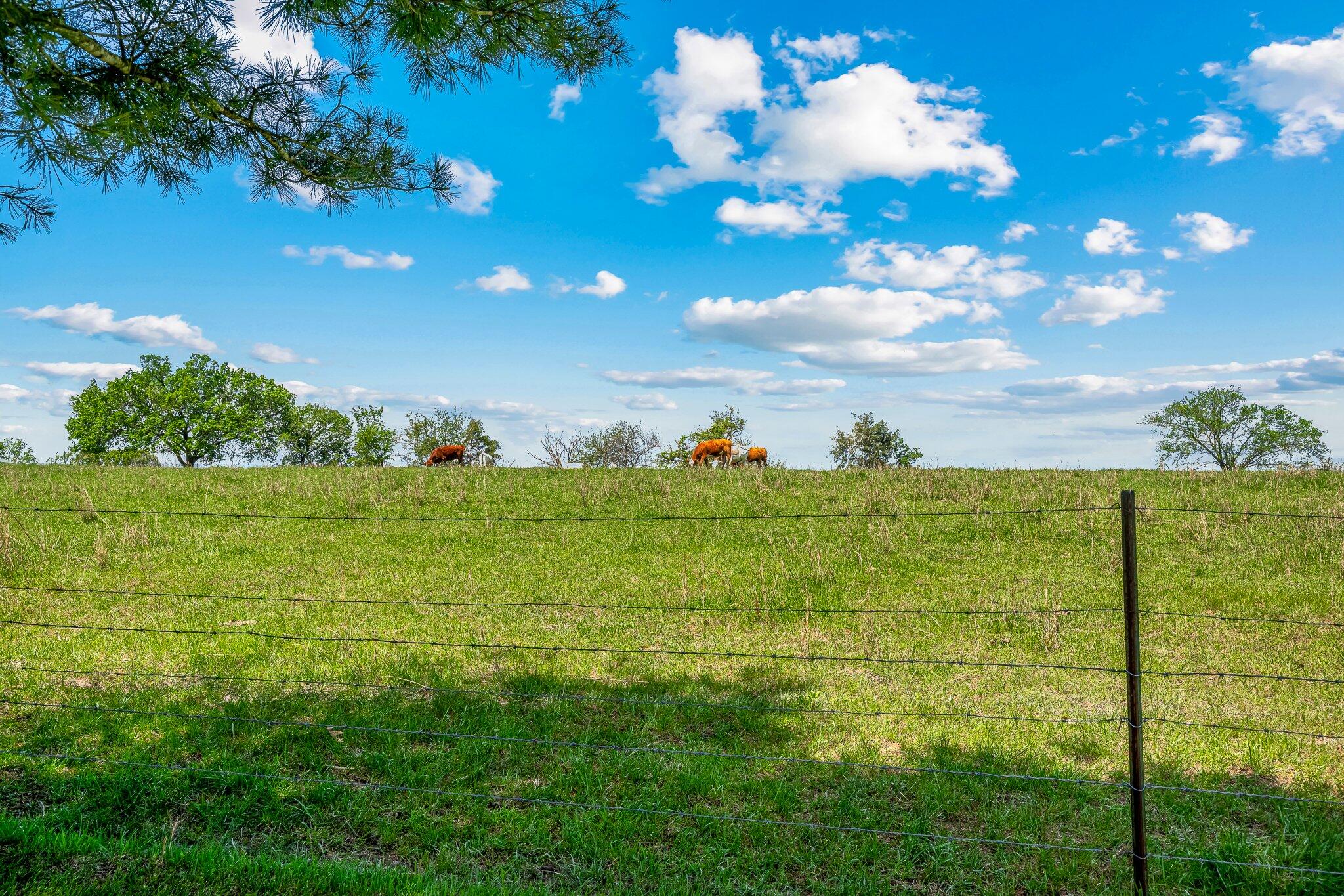 1759 Lane Branch Road Property Photo 32